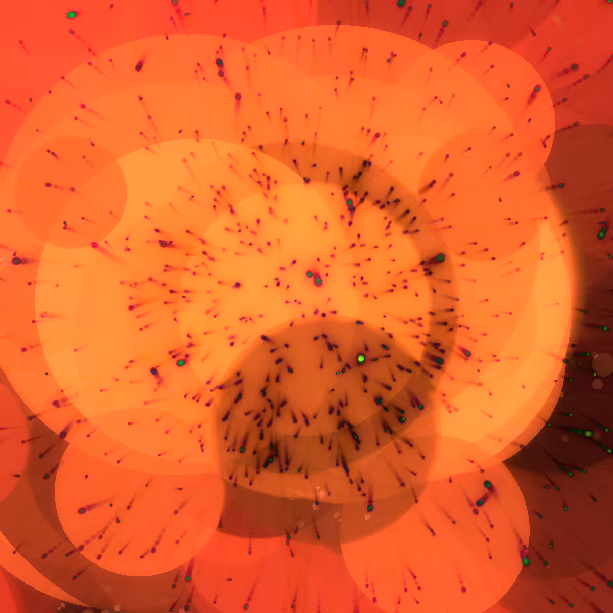 Cosmic Bloom #735