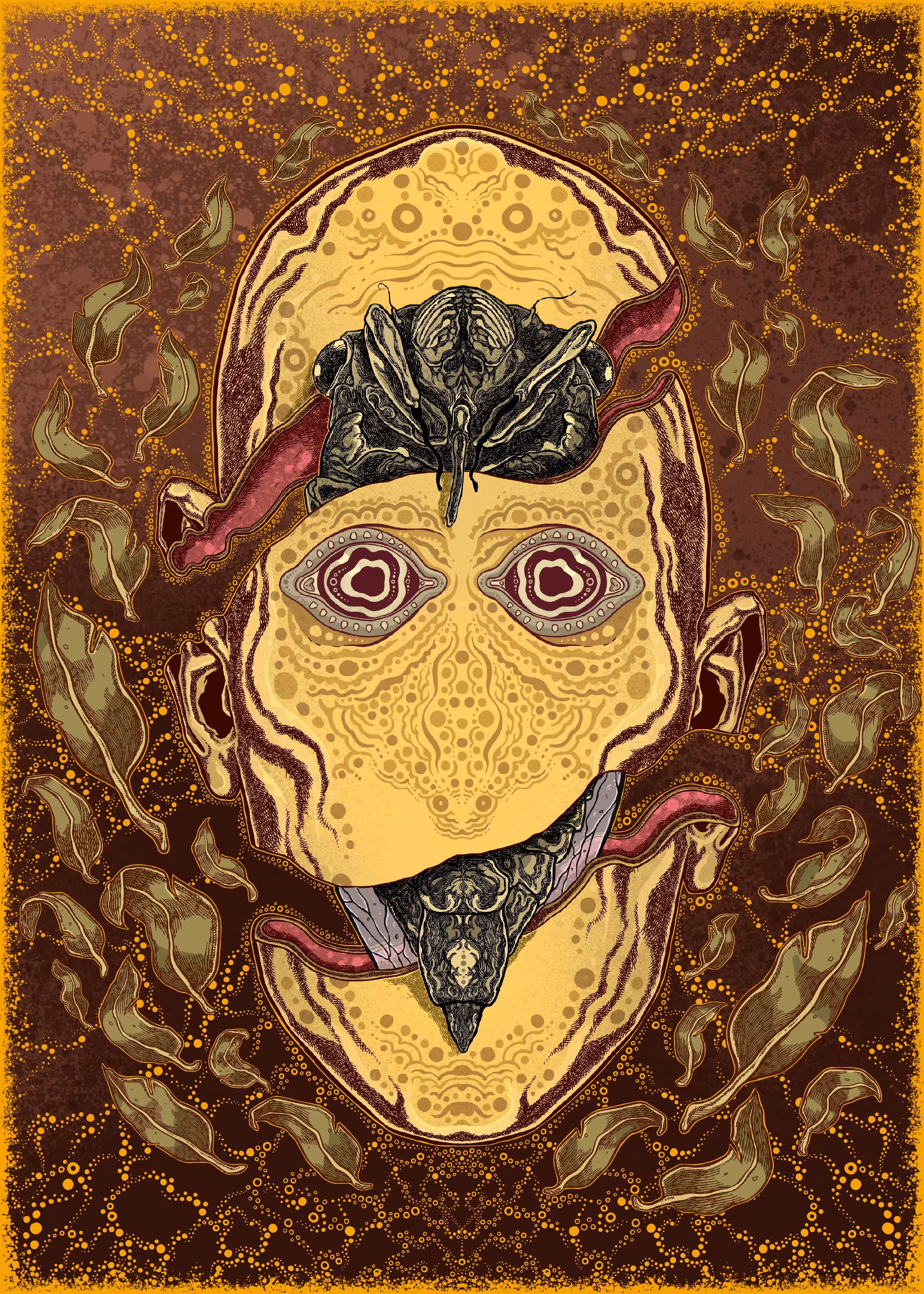Cicada