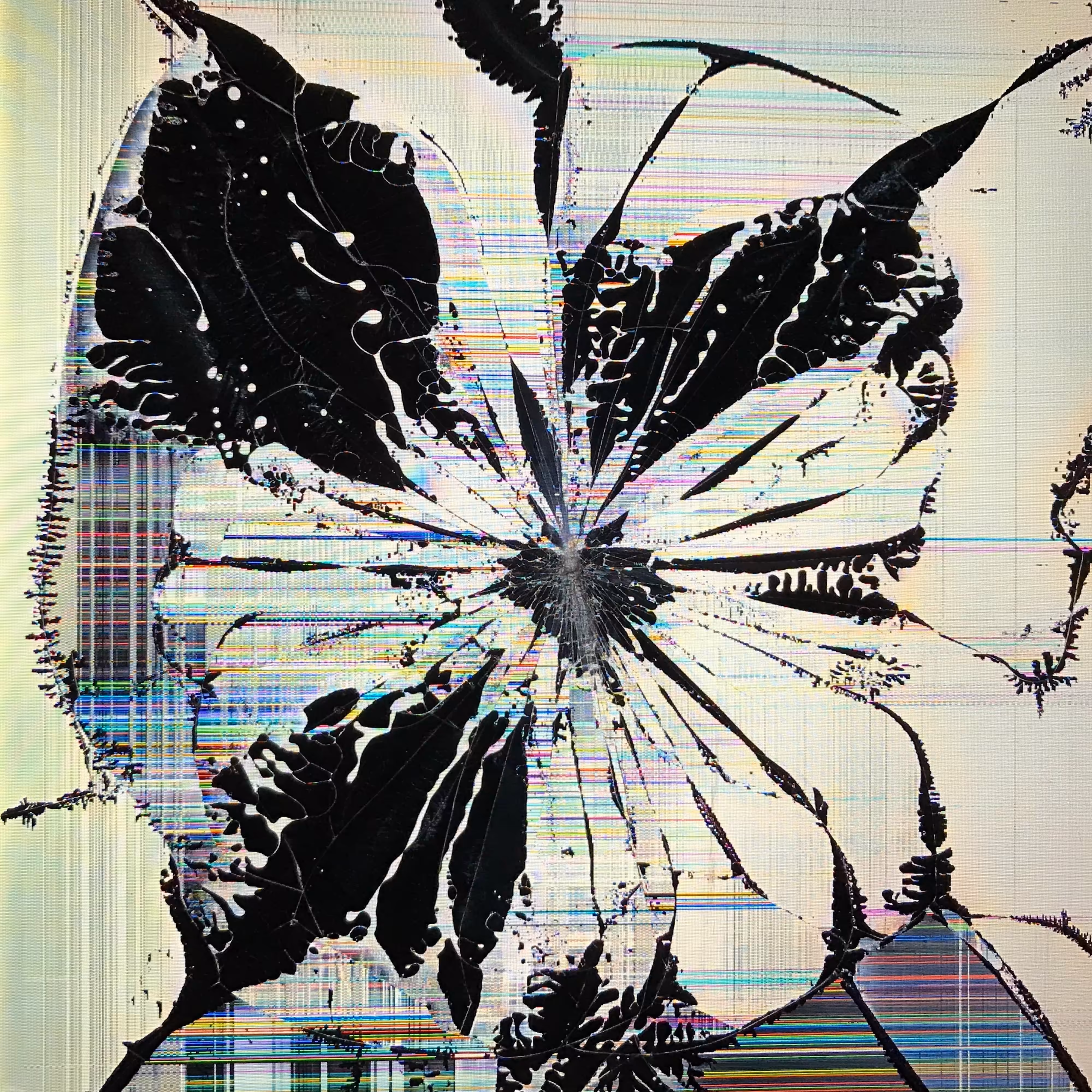 LOWREZ187