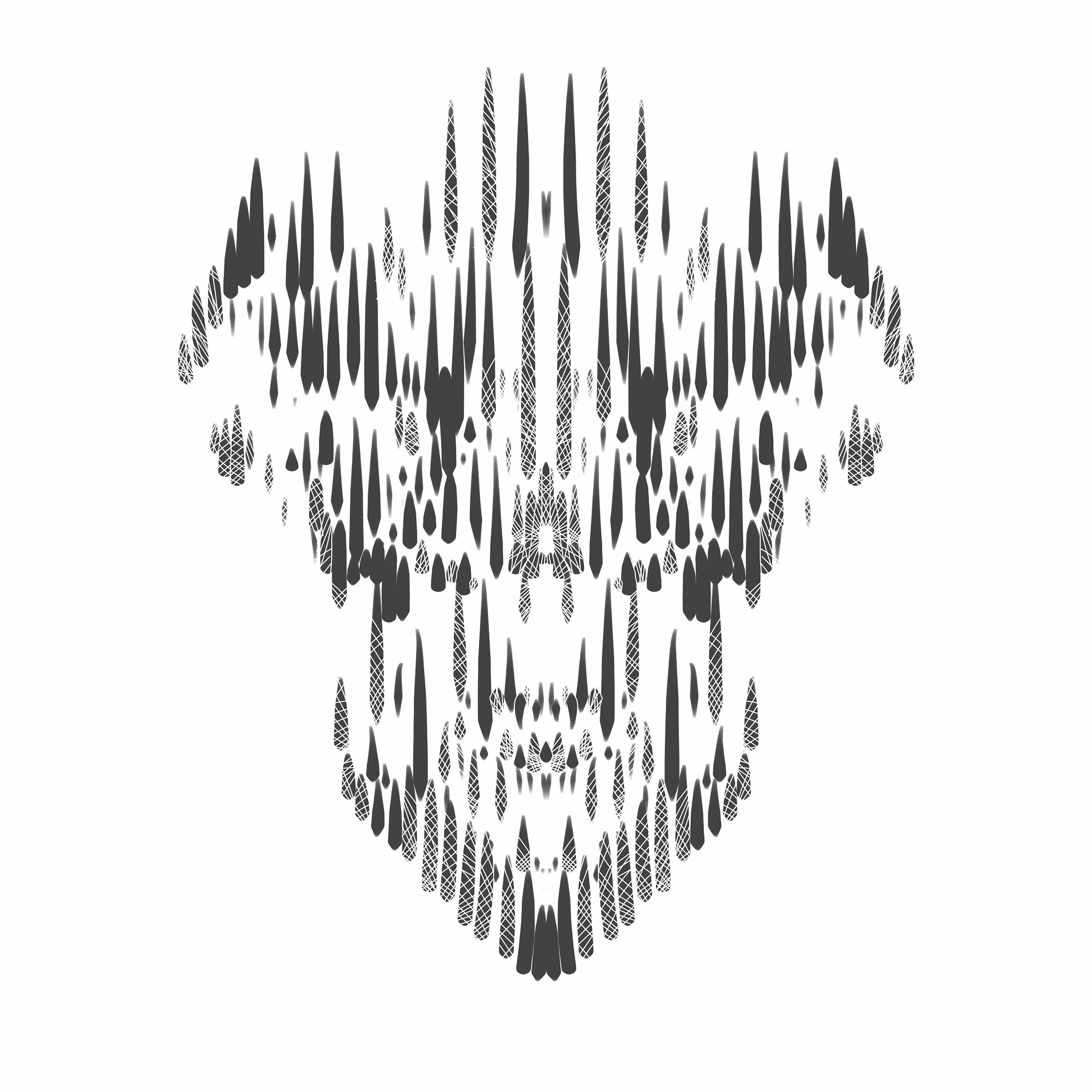 "Wicker Skull" - VARVAR2076