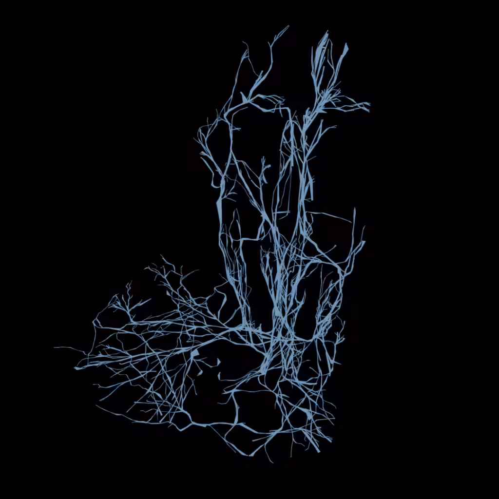 Nick Fox-Gieg - Vicky1 (2022, GLTF version)