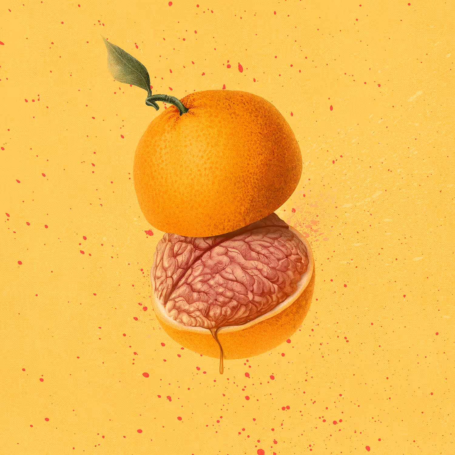 #5 Flipped