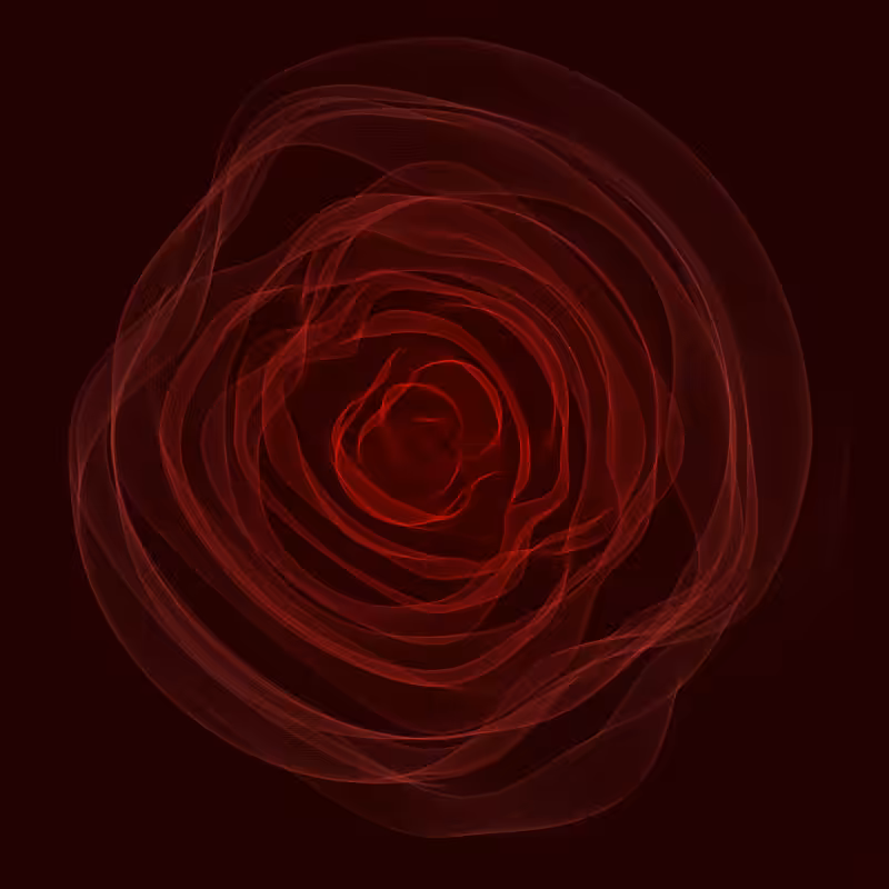 Roses #10