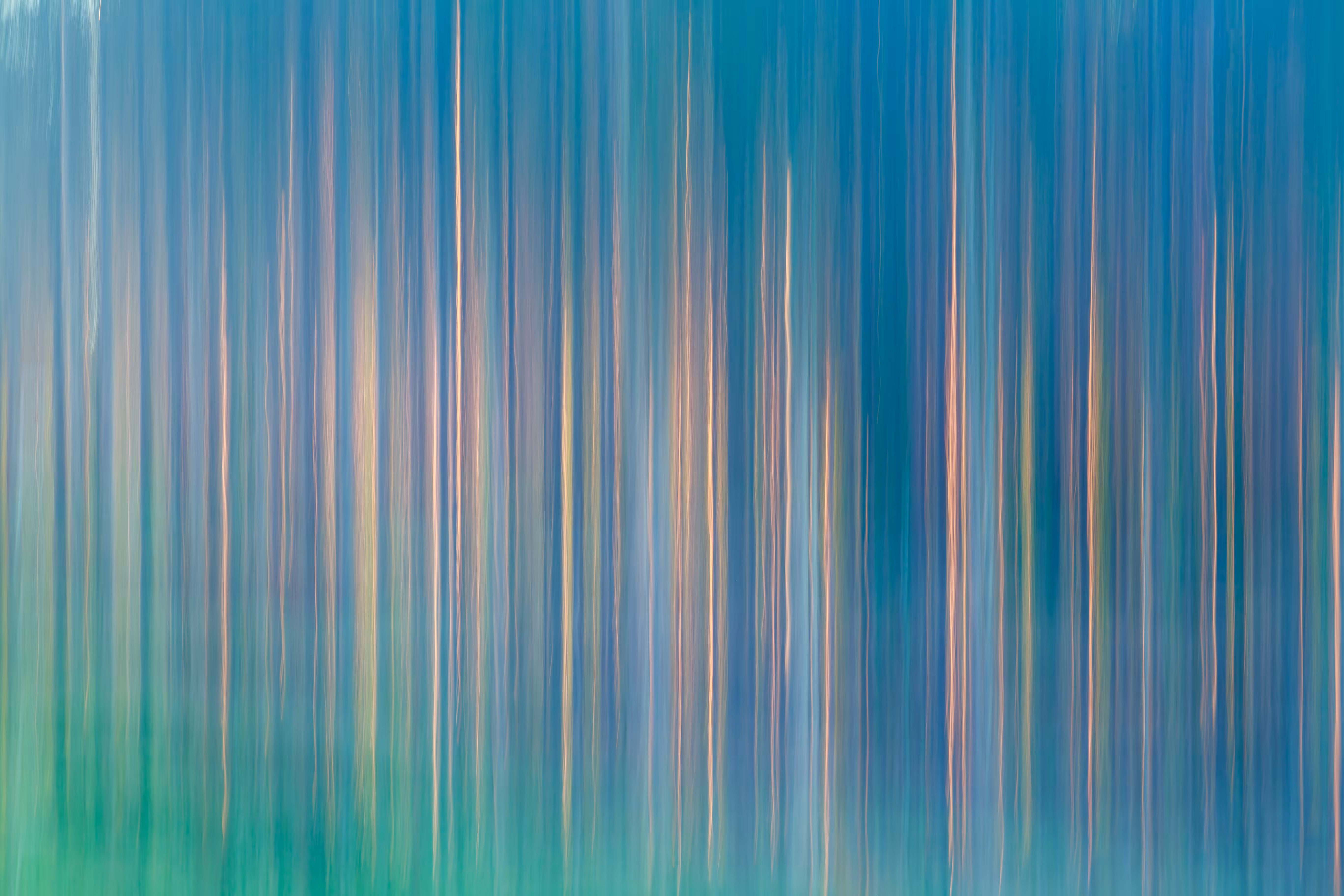 First Light