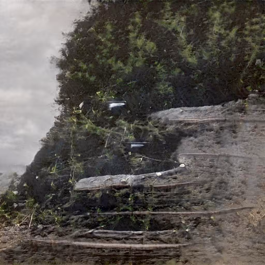 Fabricating Future Forests 0127