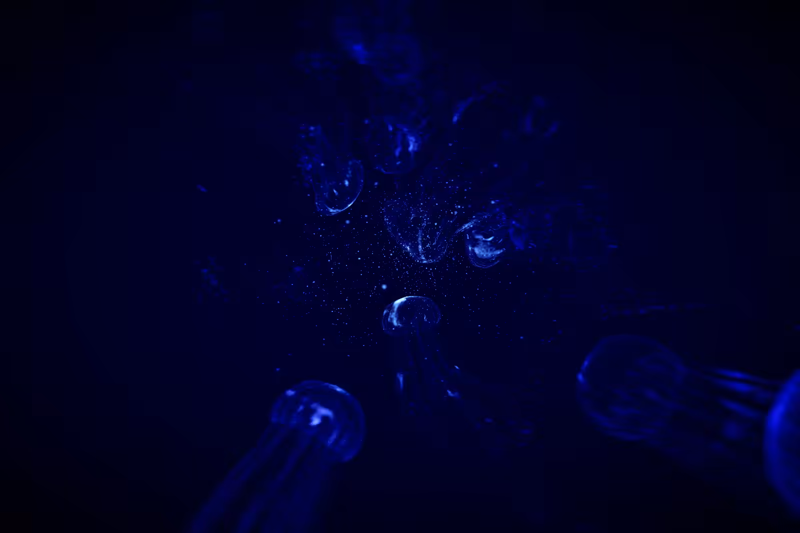 Turtle Vision #105