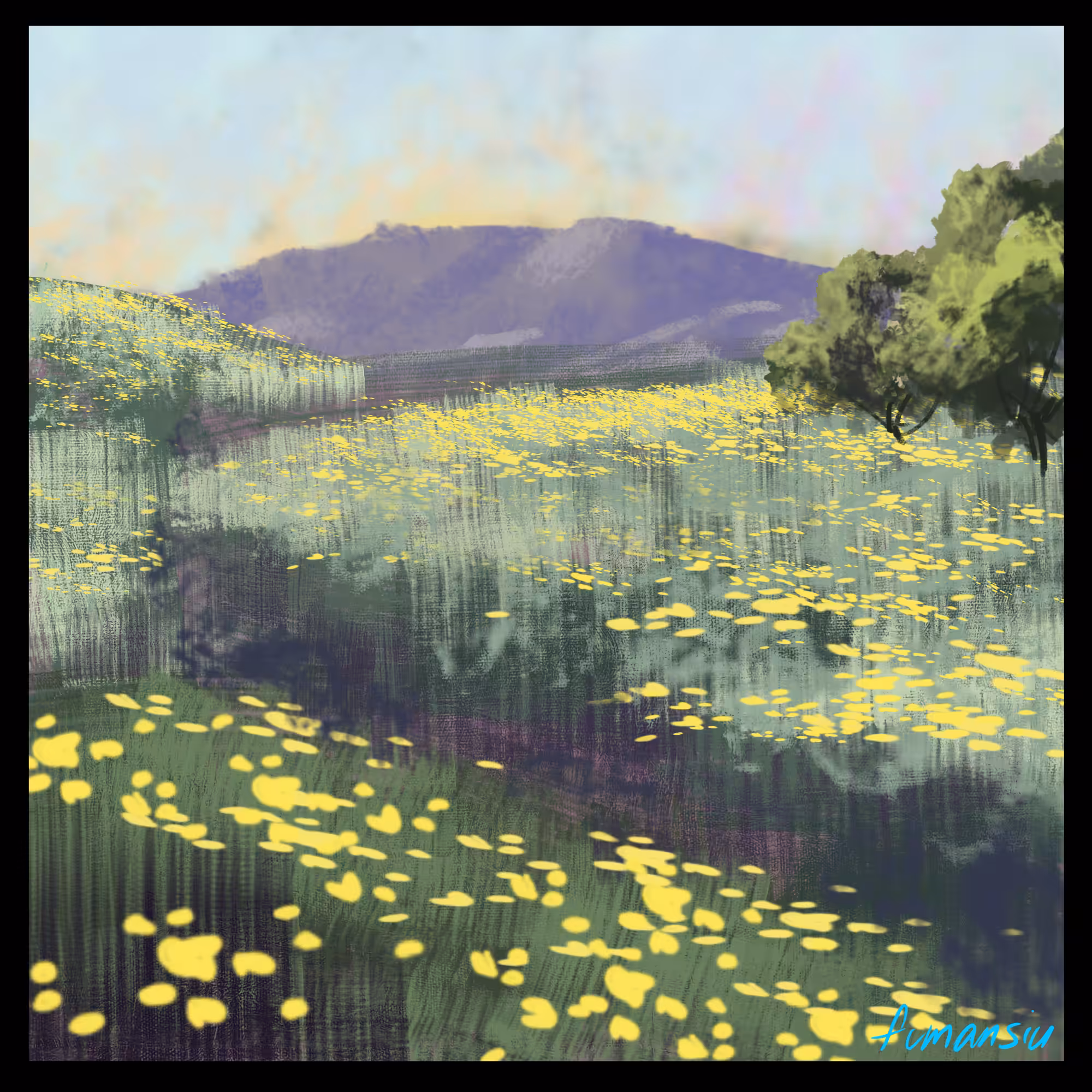 Meadow trail into the mountains