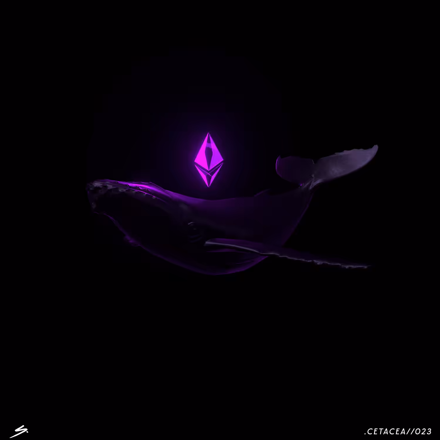 .CETECEA//023