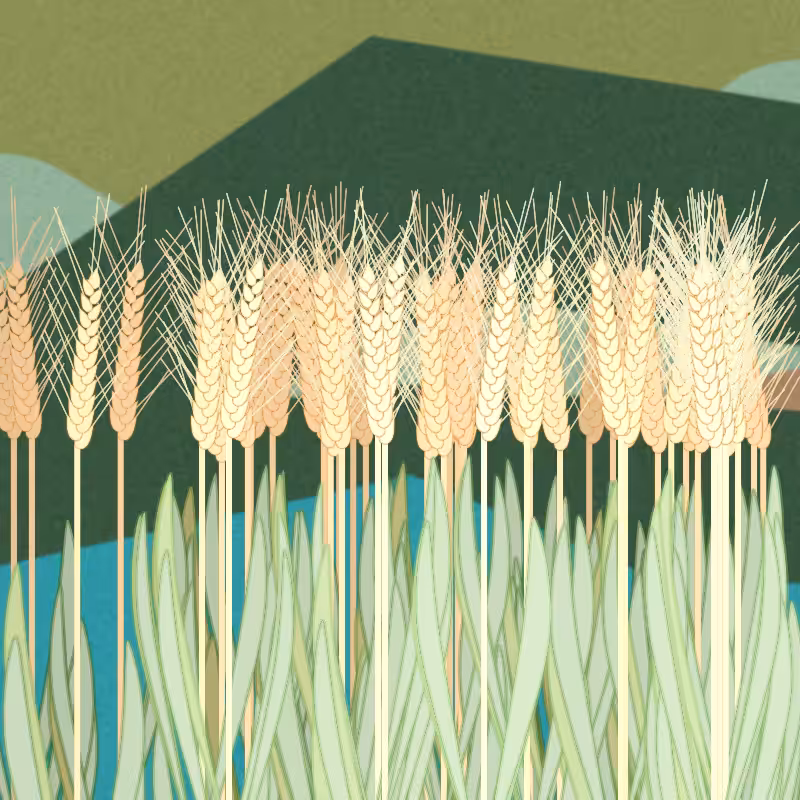 Symbiosis #41