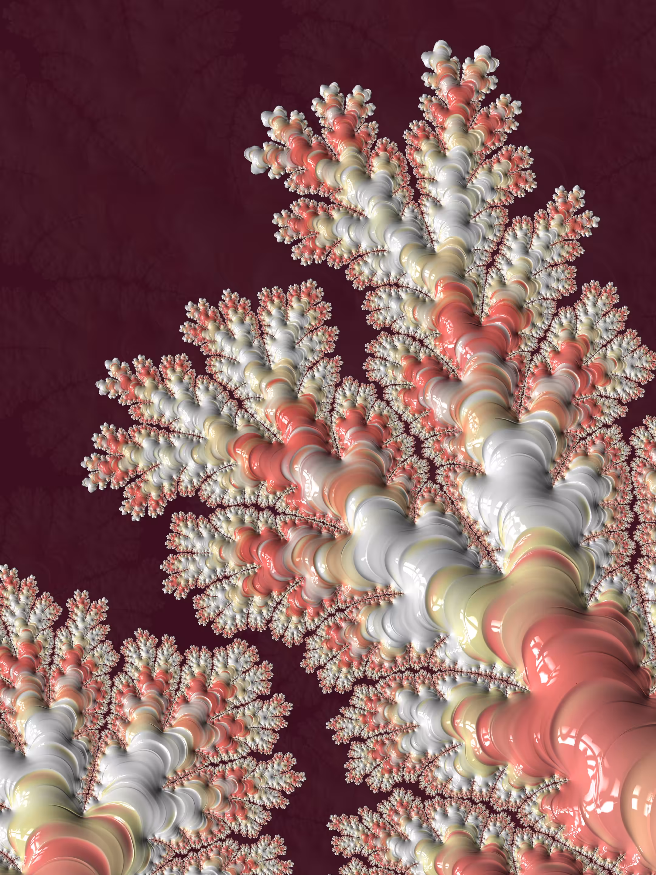The Fungus - Glazed Corallines