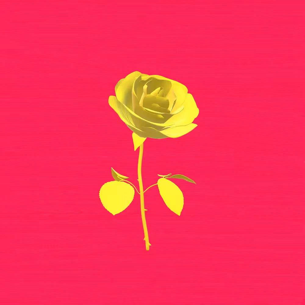 Missing Golden Rose