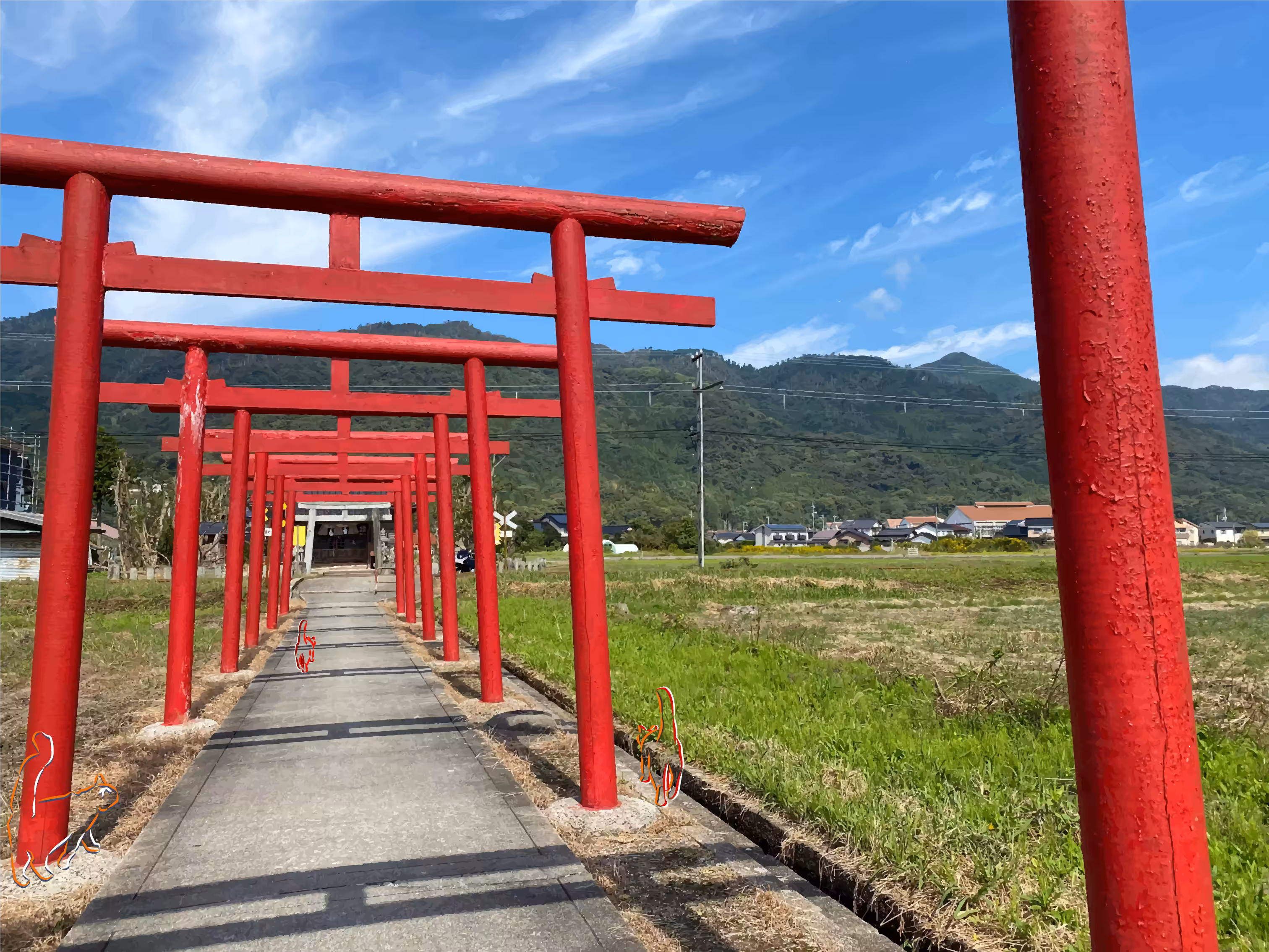 線猫-朱鳥居(SENBYO-akenotorii)