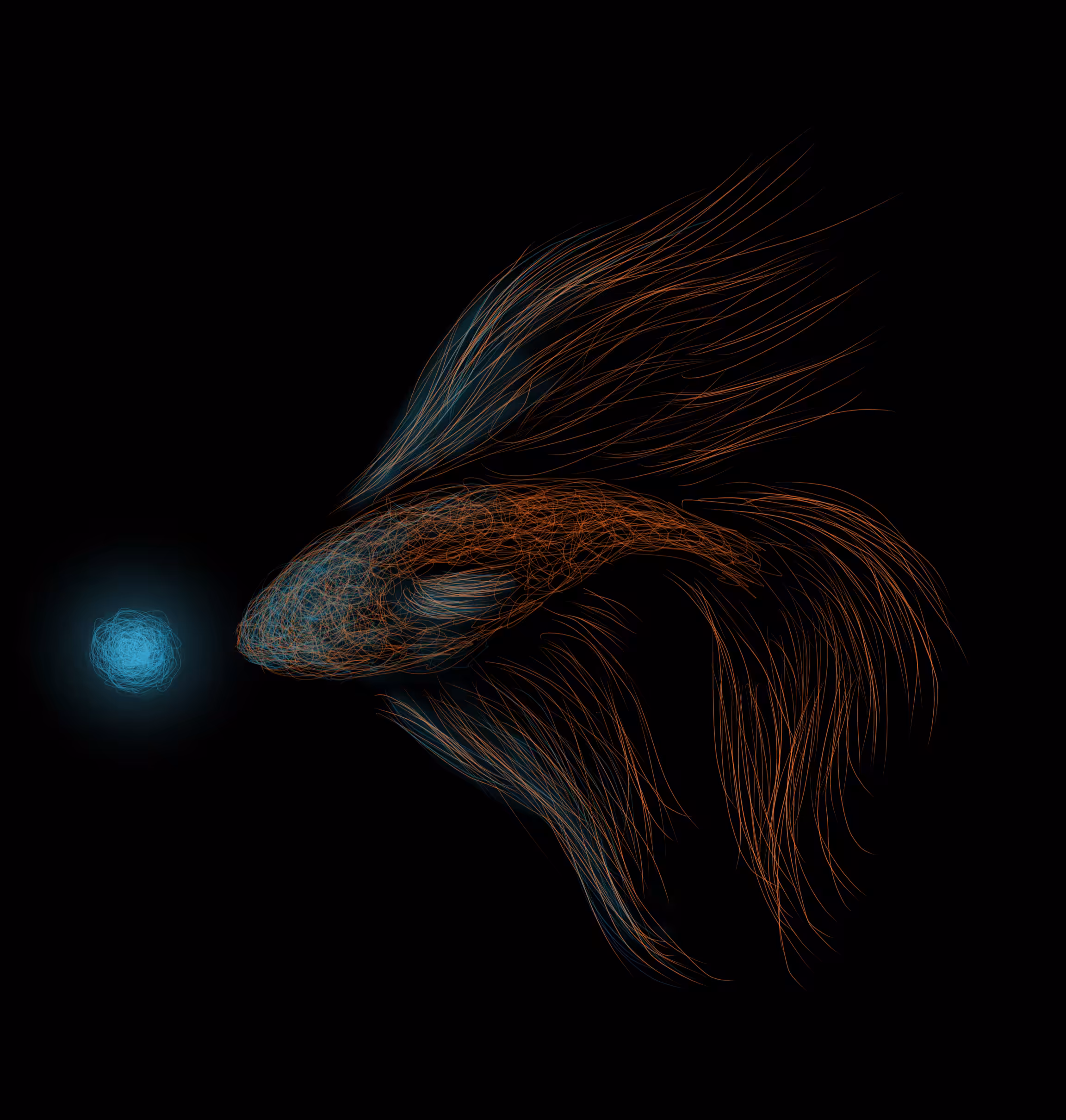 Goldfish