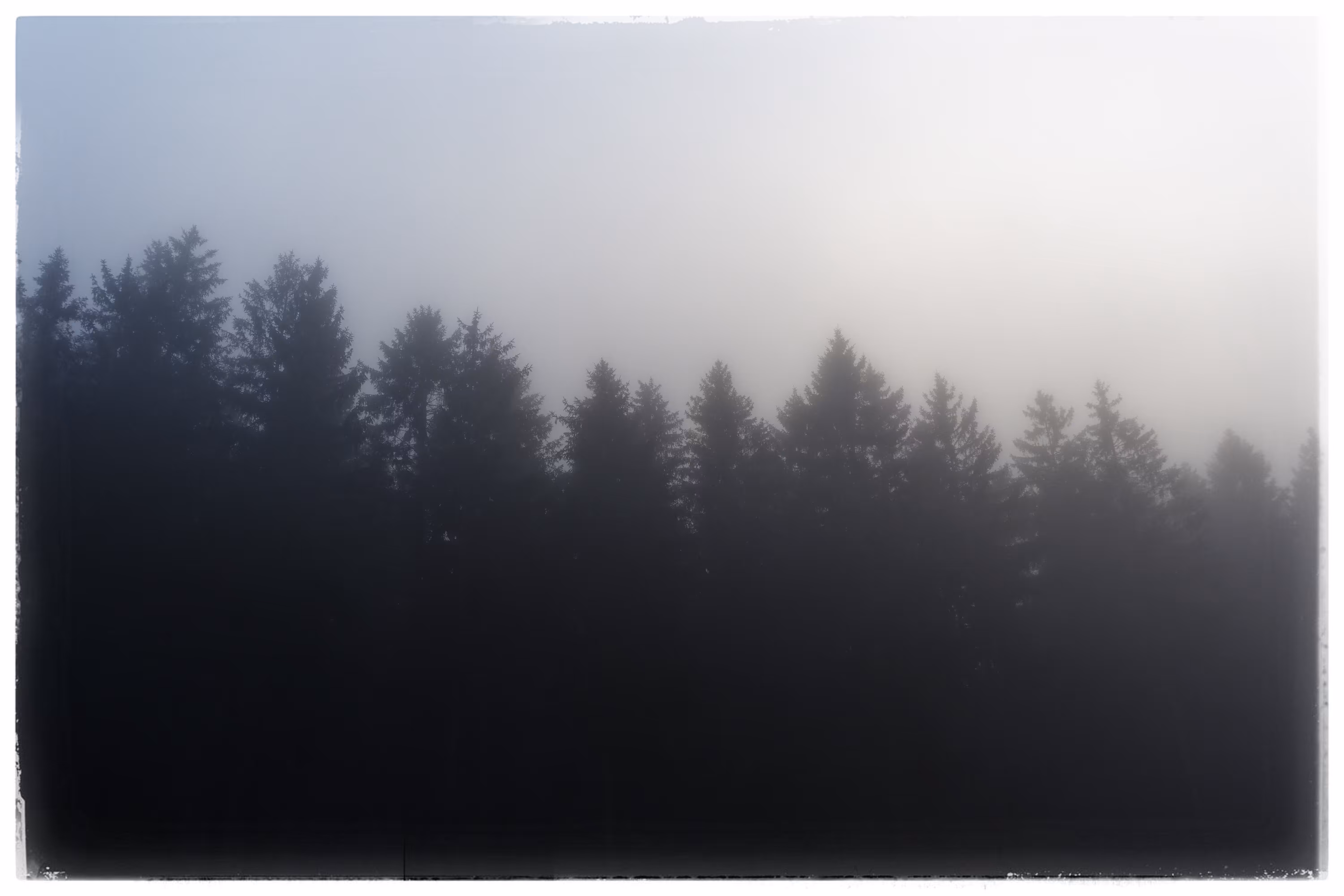 thick fog