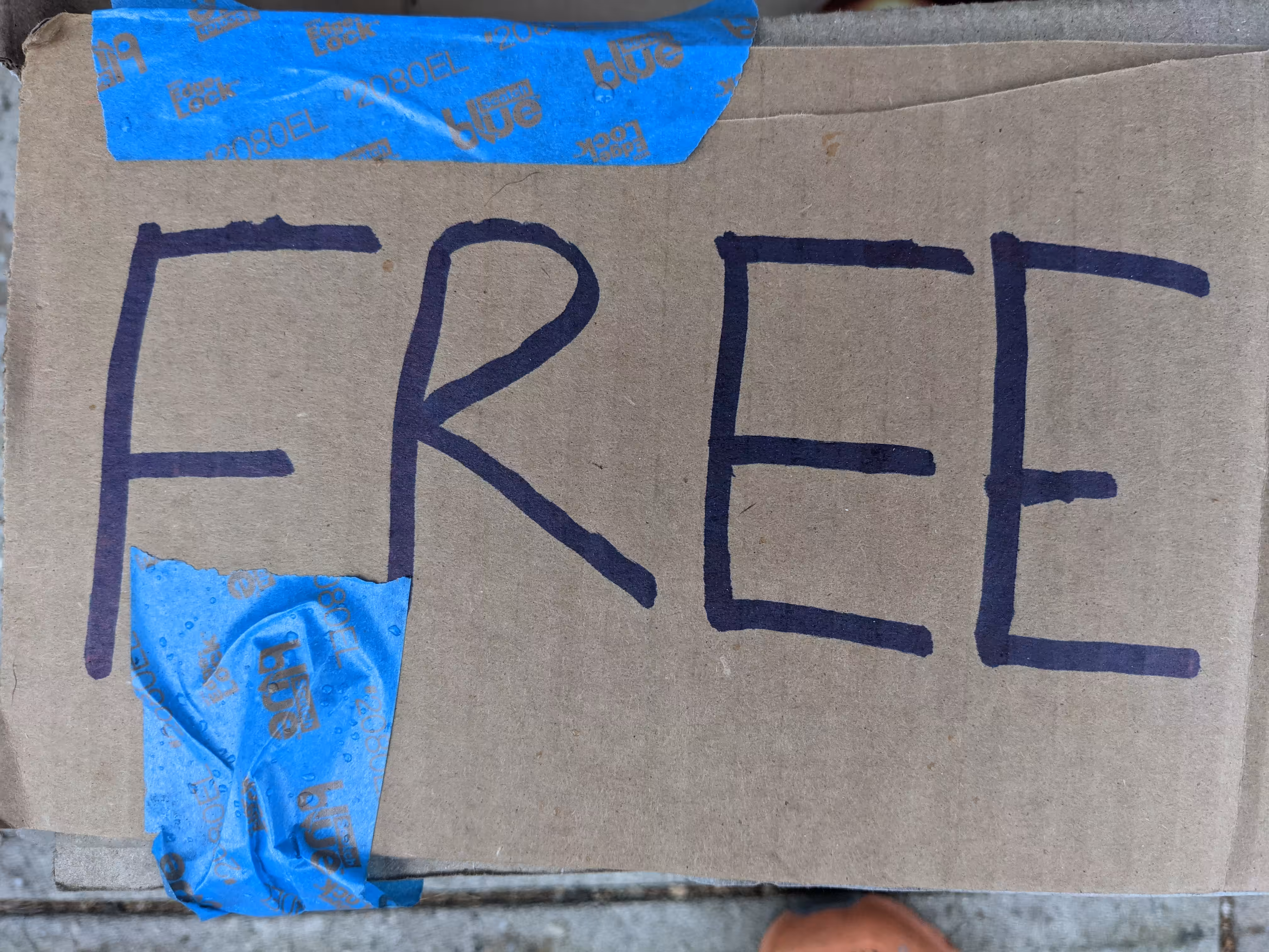 Free6 #13