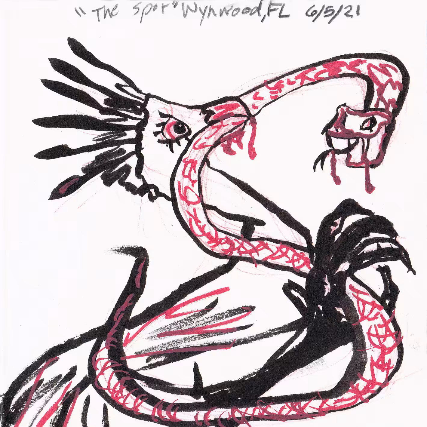 Secretary Bird with Prey