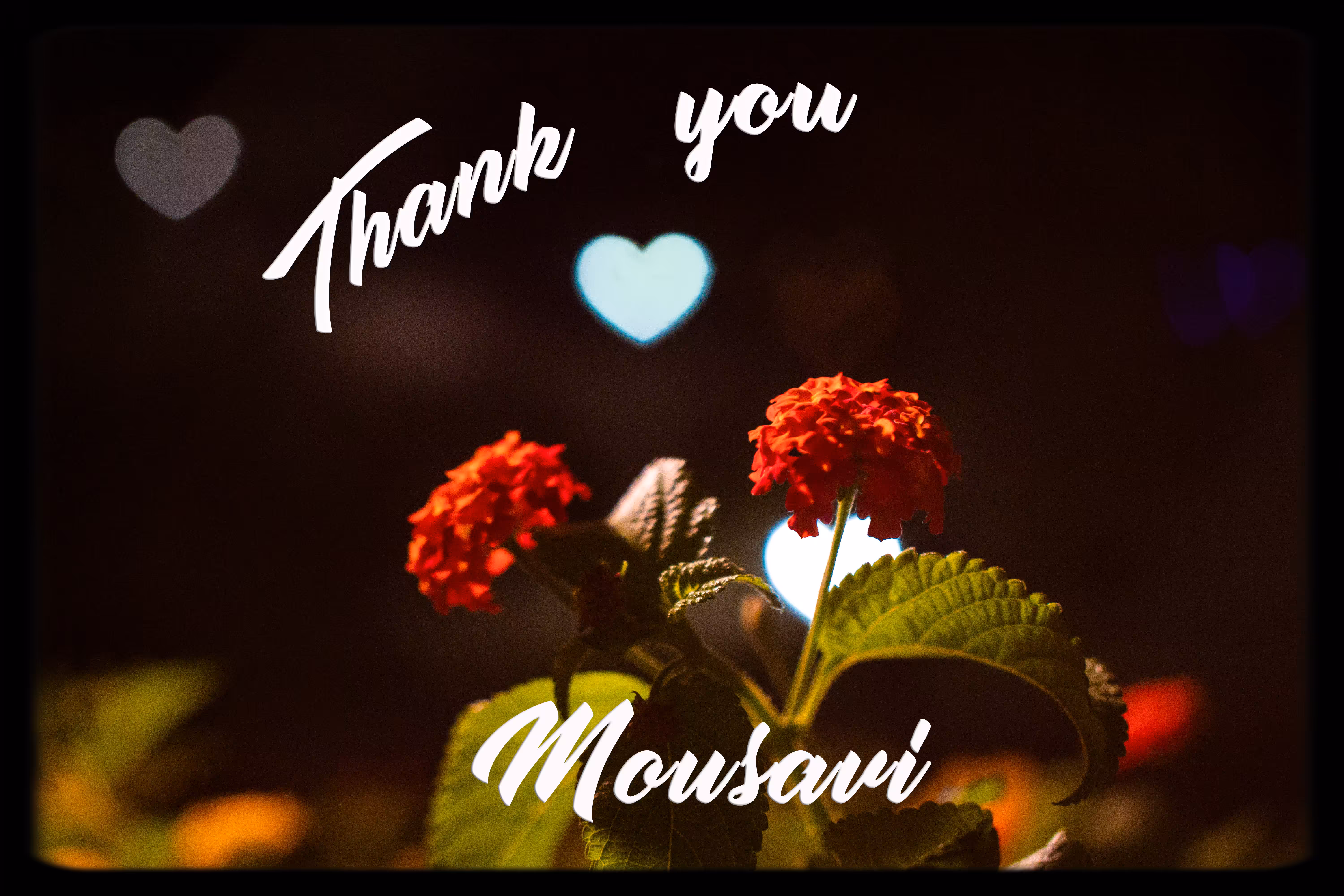 Thank You Mousavi