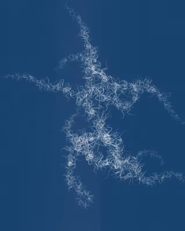 Cyanotypes #96