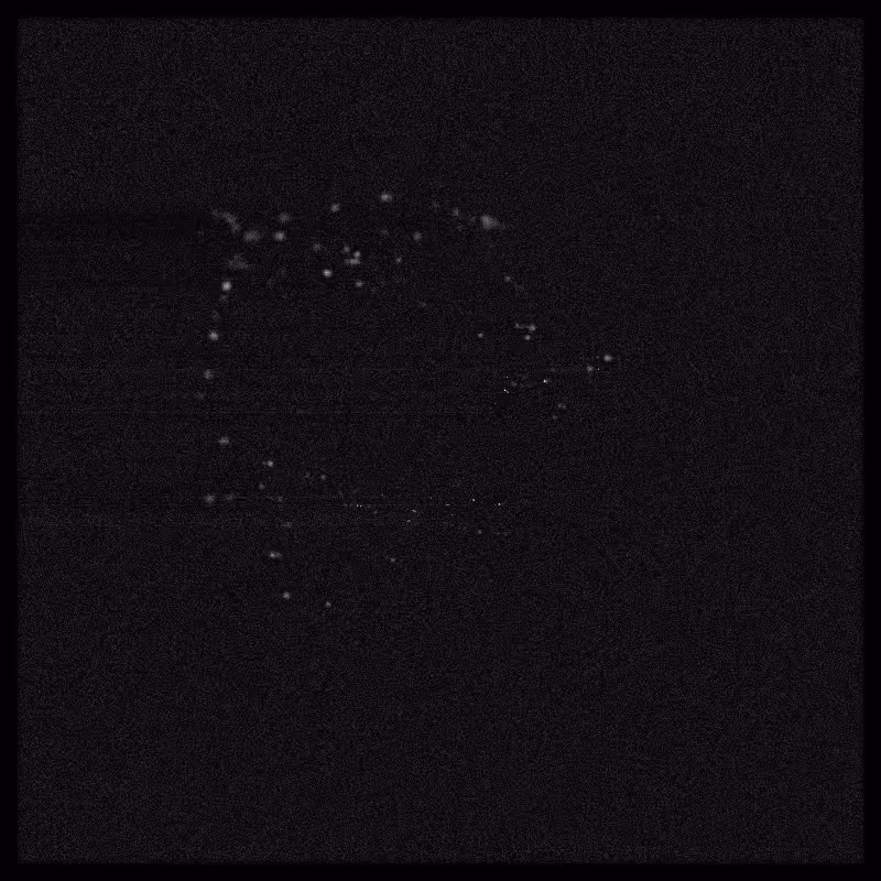 Rays & Dust #125