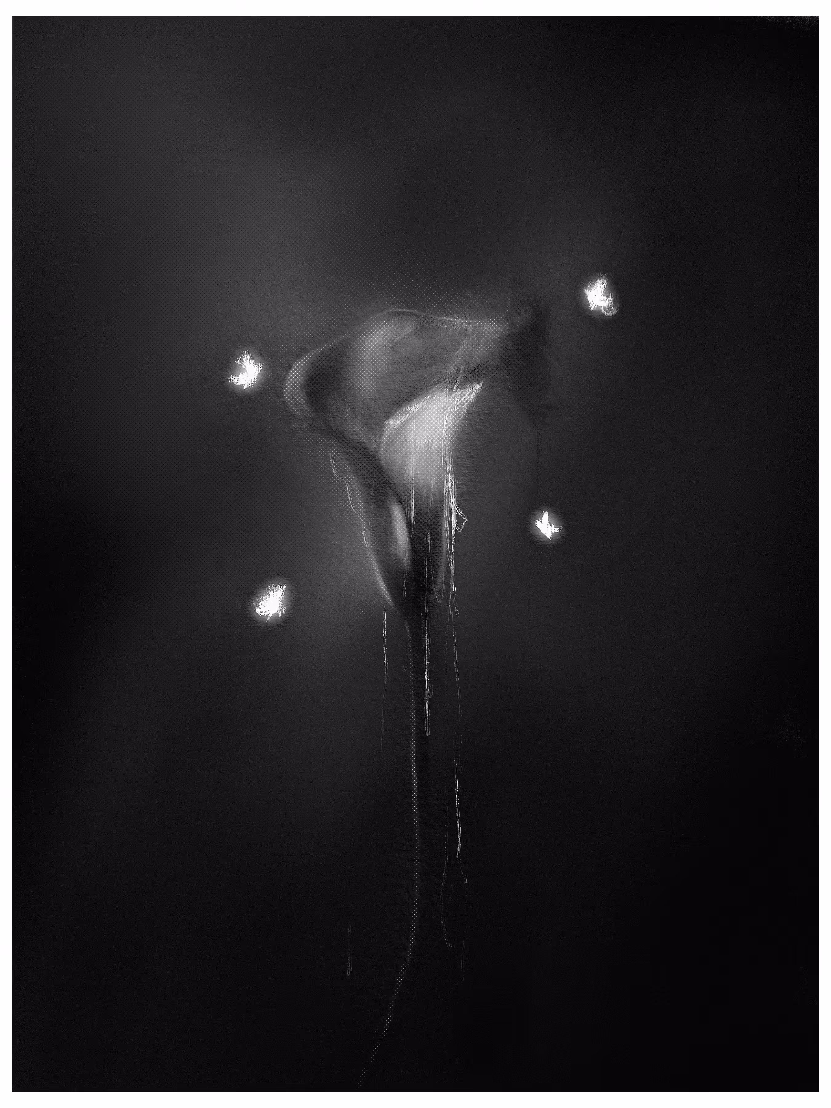 Monochrome: Never Bloom