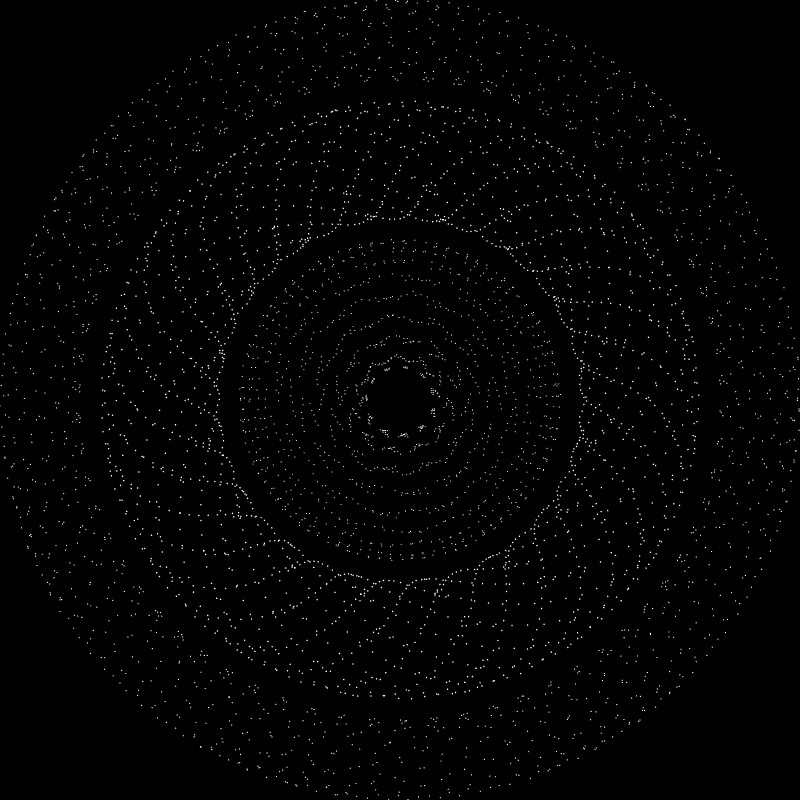 The Orbits #45