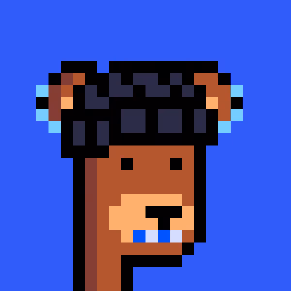 BearPunks #1166