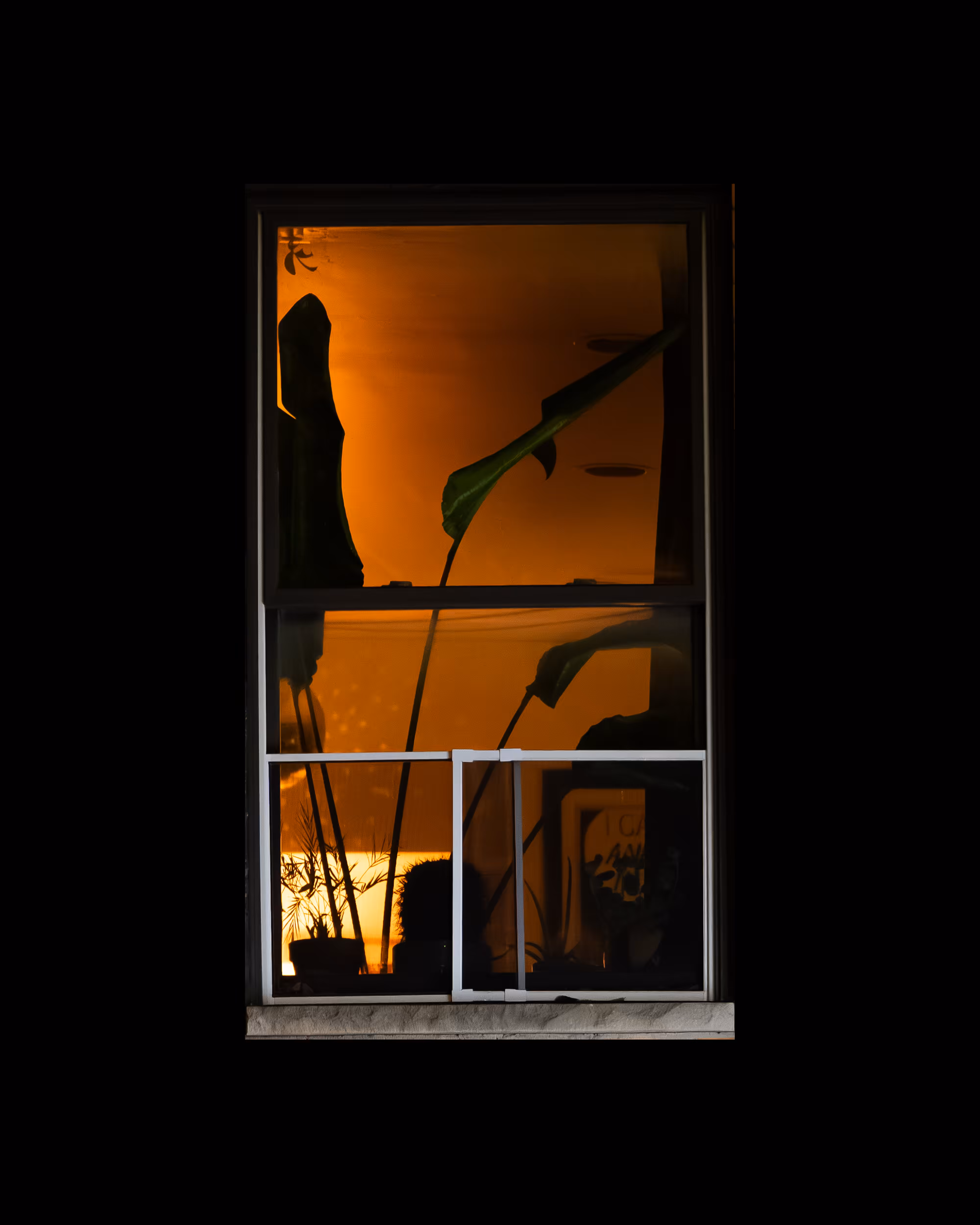 WINDOWS // NYC: WINDOW 101