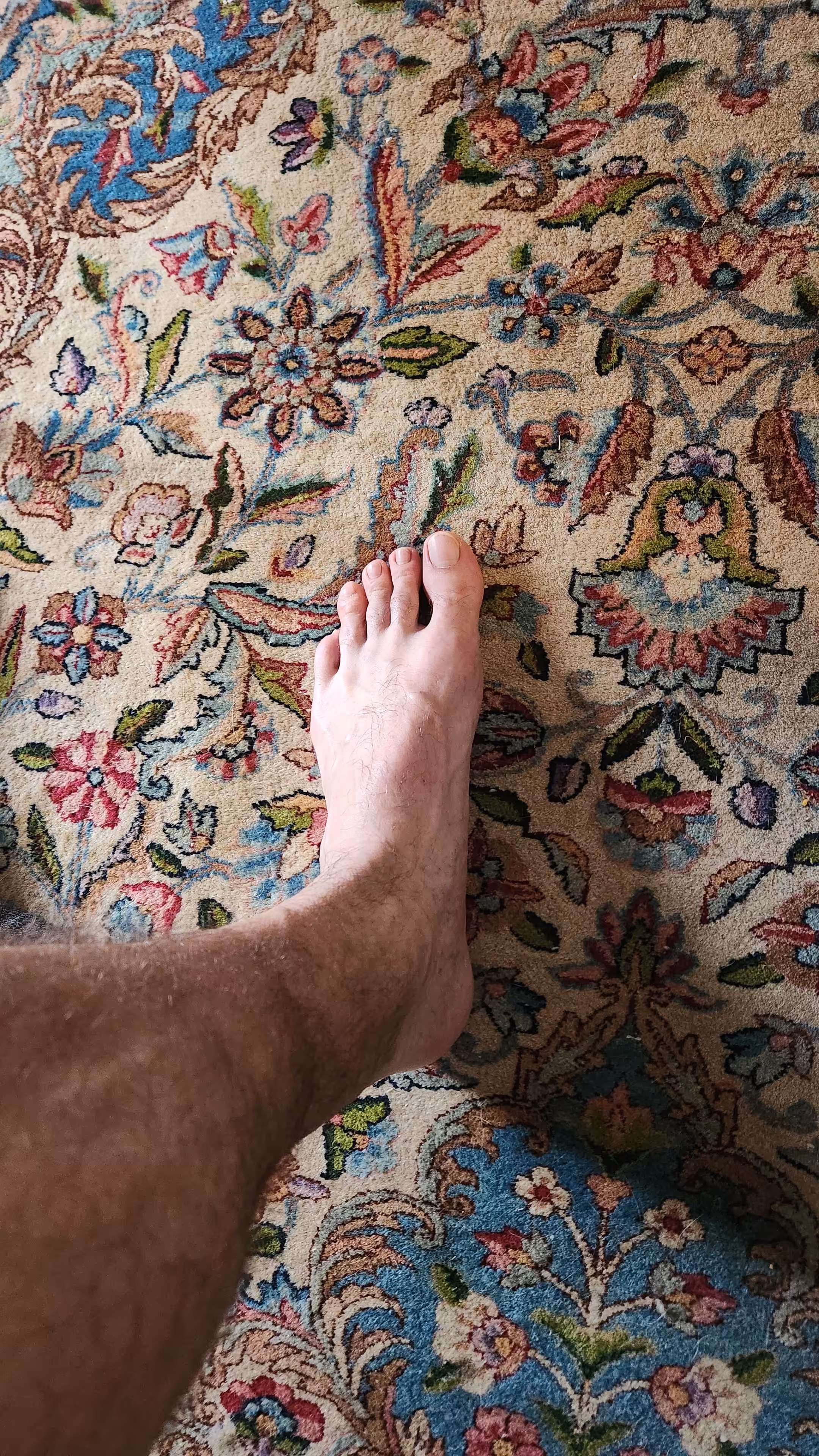 Soft Carpet
