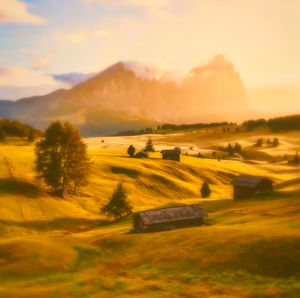 Landscape of life