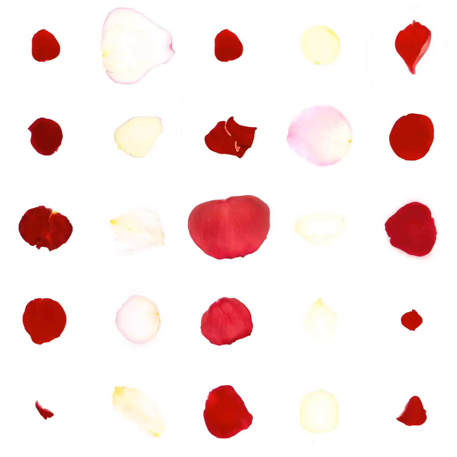 Infinite Petals 5x5#1398