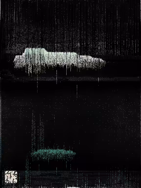 Bifurcation Rains #176