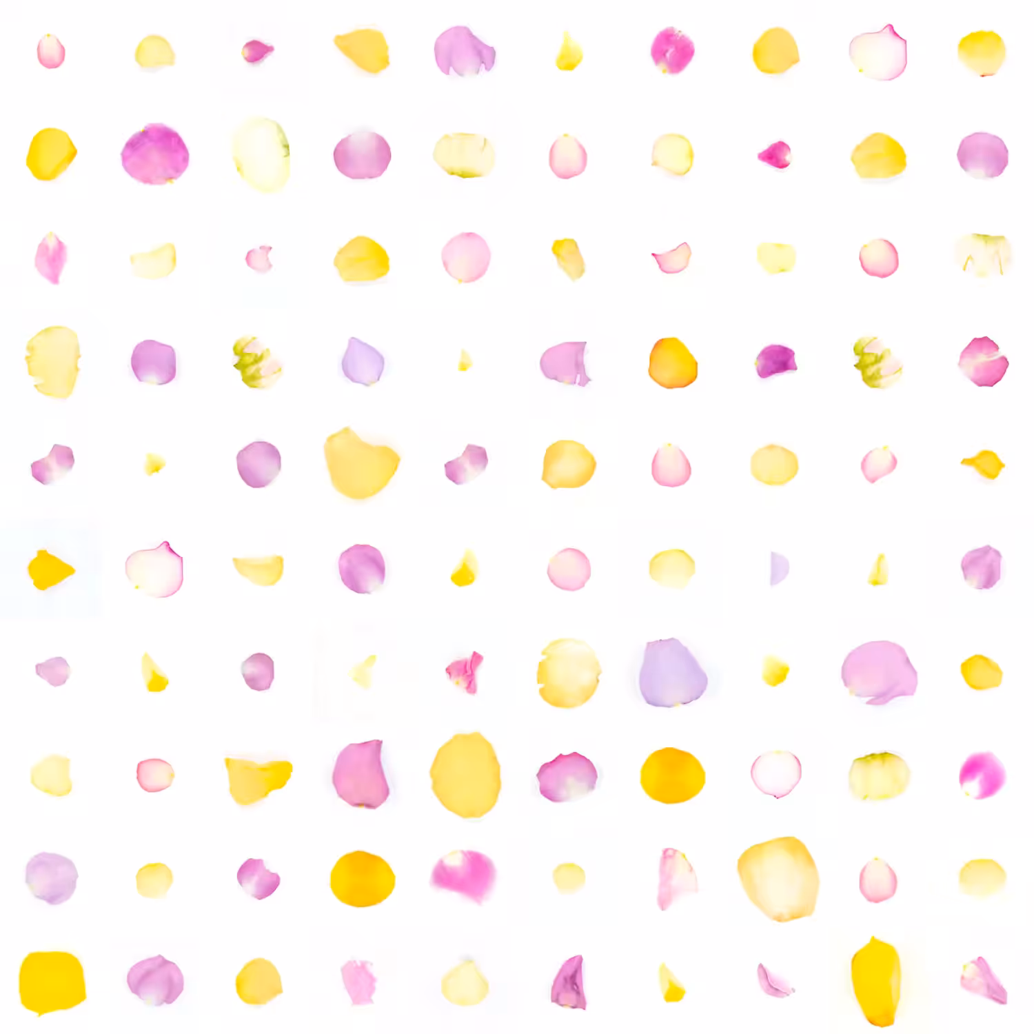 Infinite Petals 10x10#10001