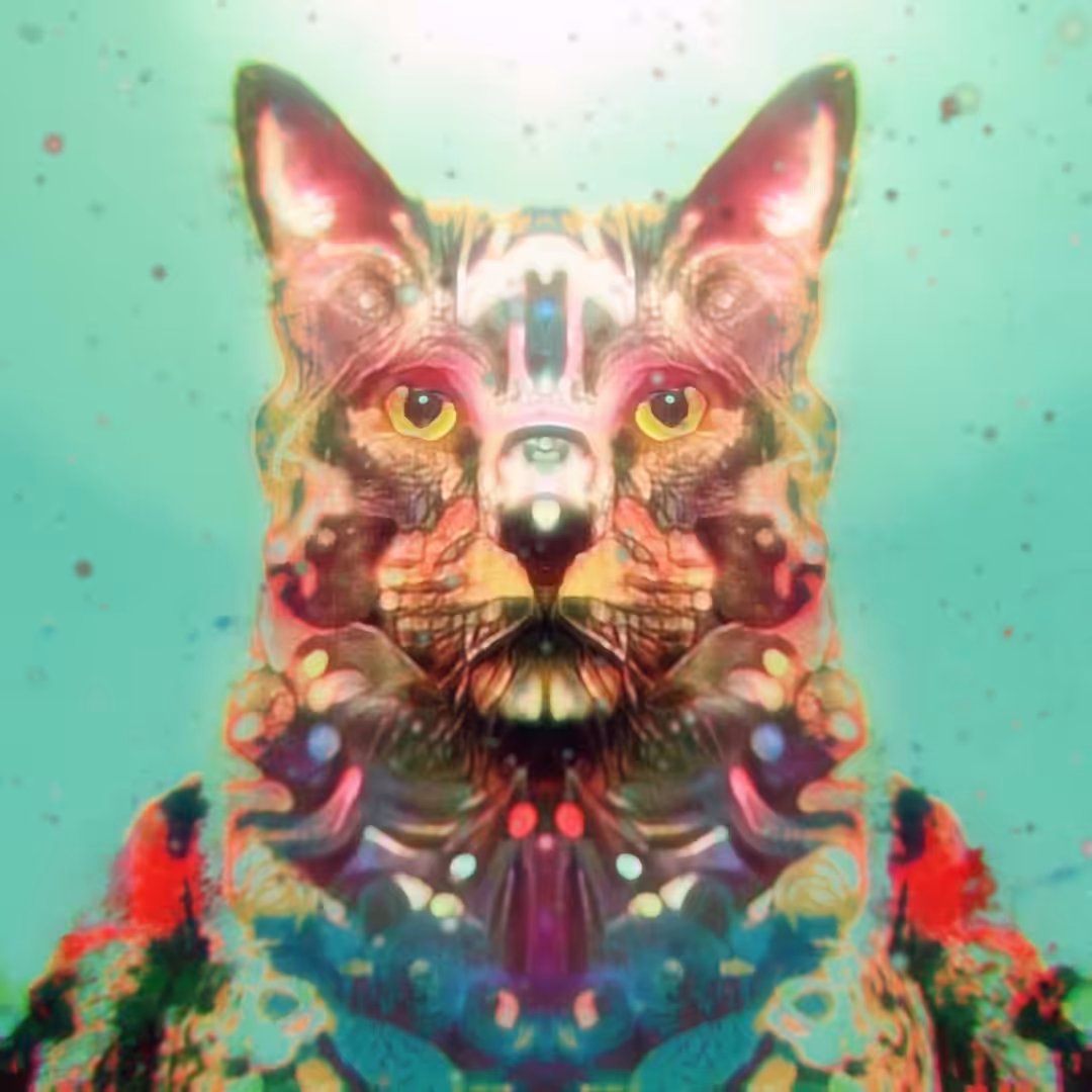 Electric Catnip: Catnip Eclipse