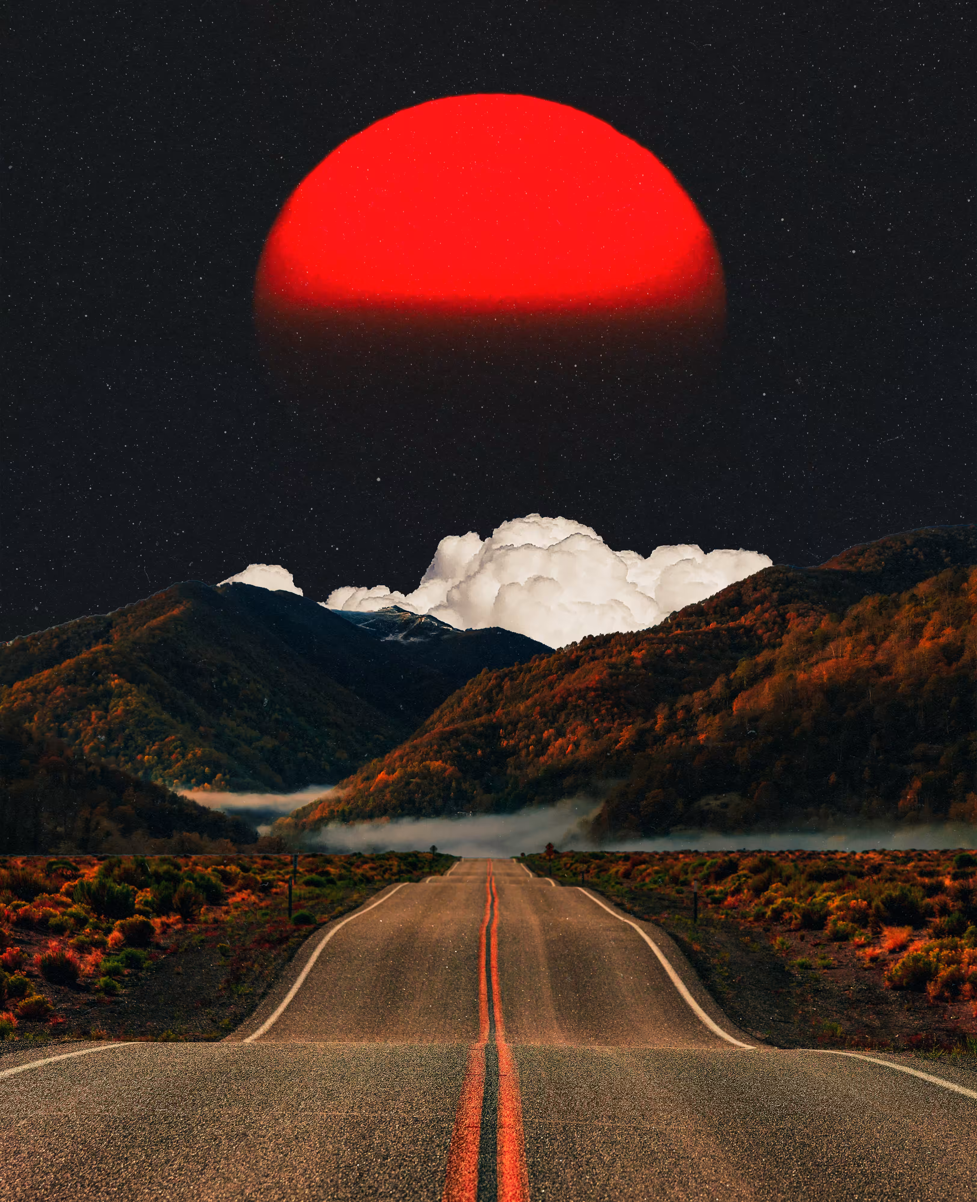 Wavy Road, 2023