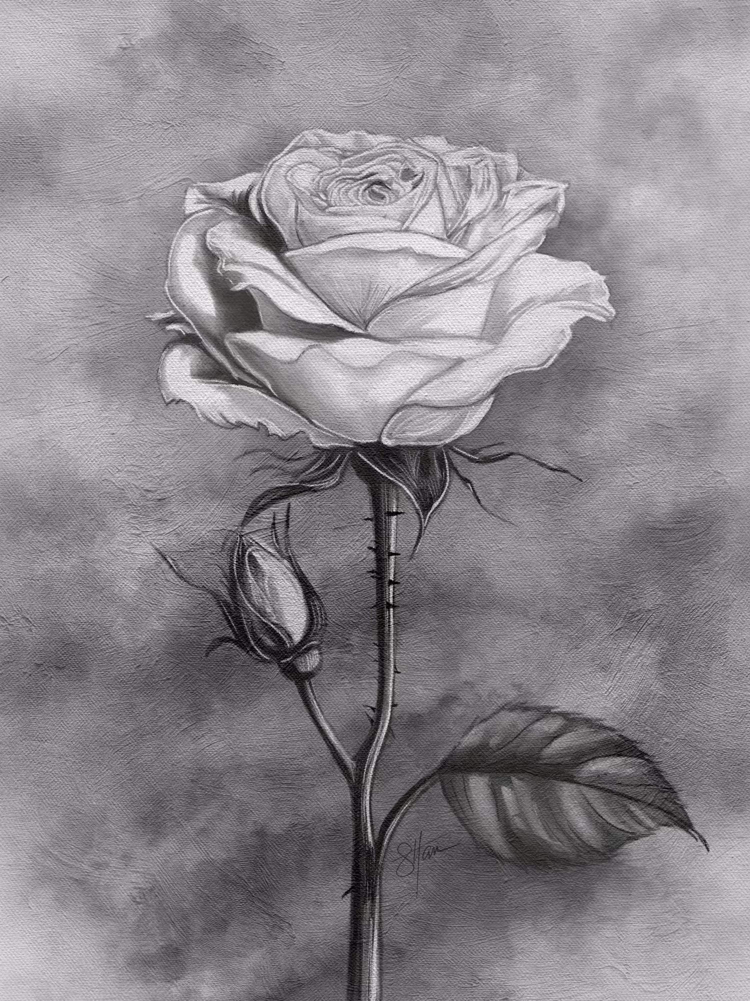 Quiet Bloom