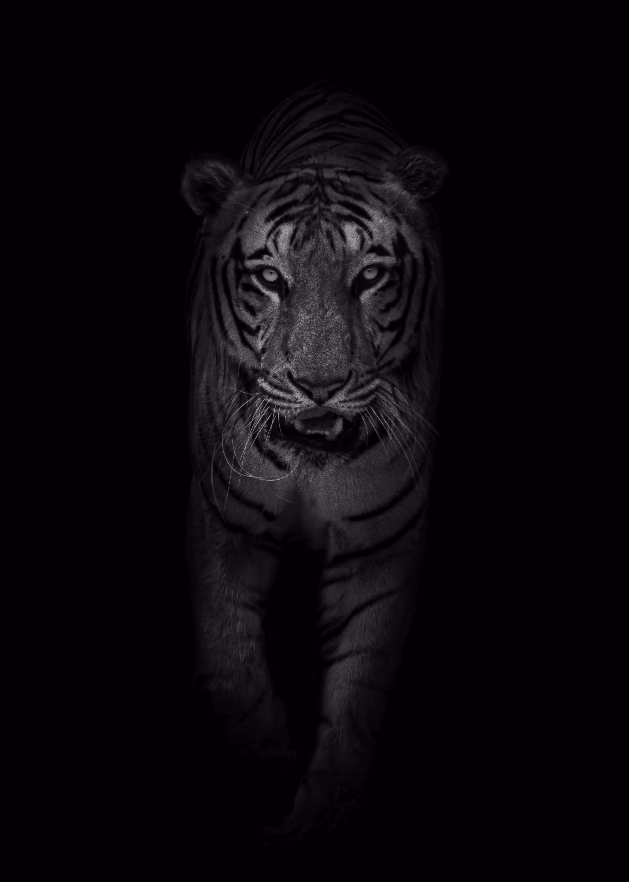 Stripes in Monochrome