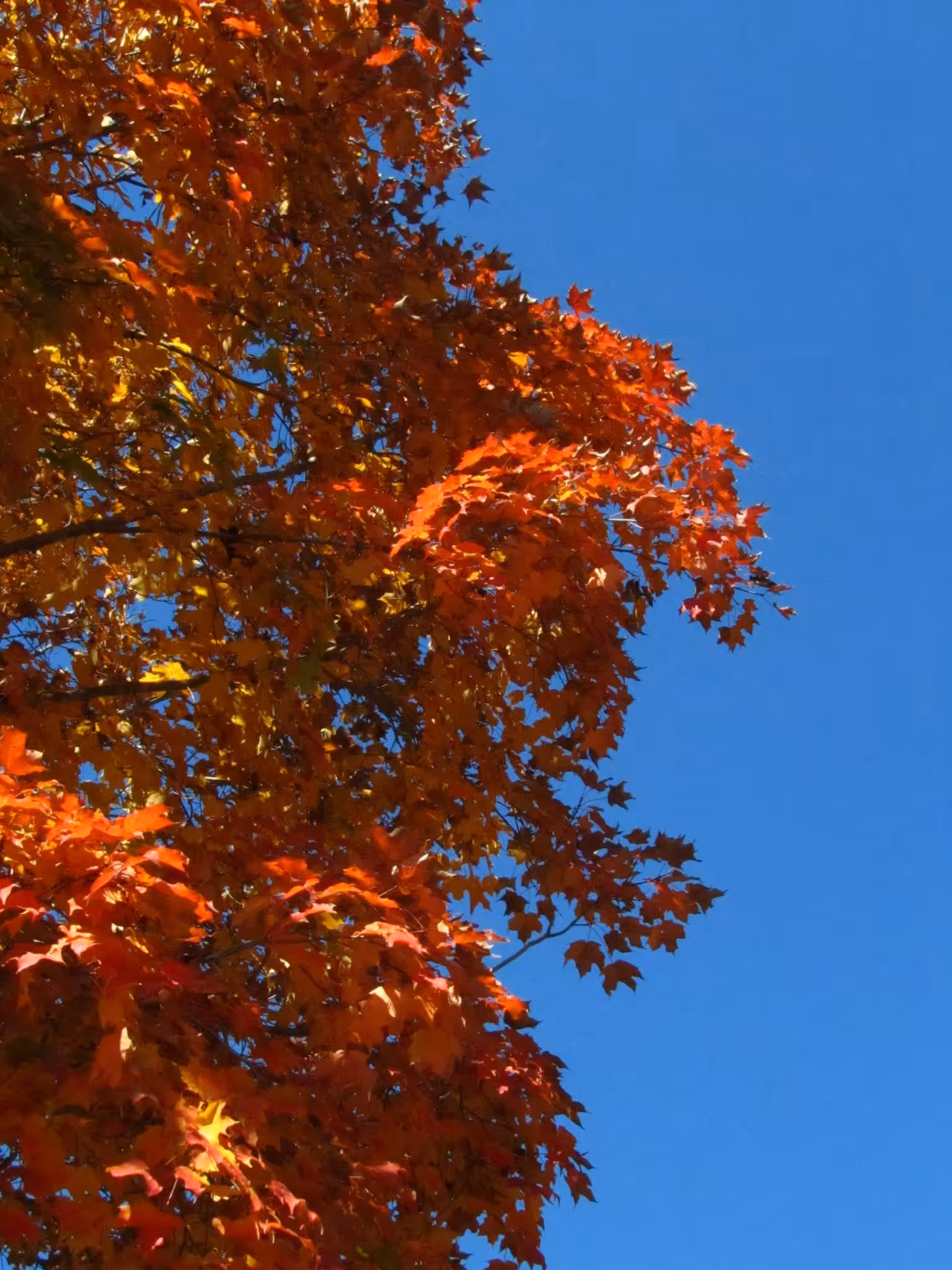 Out of the Red