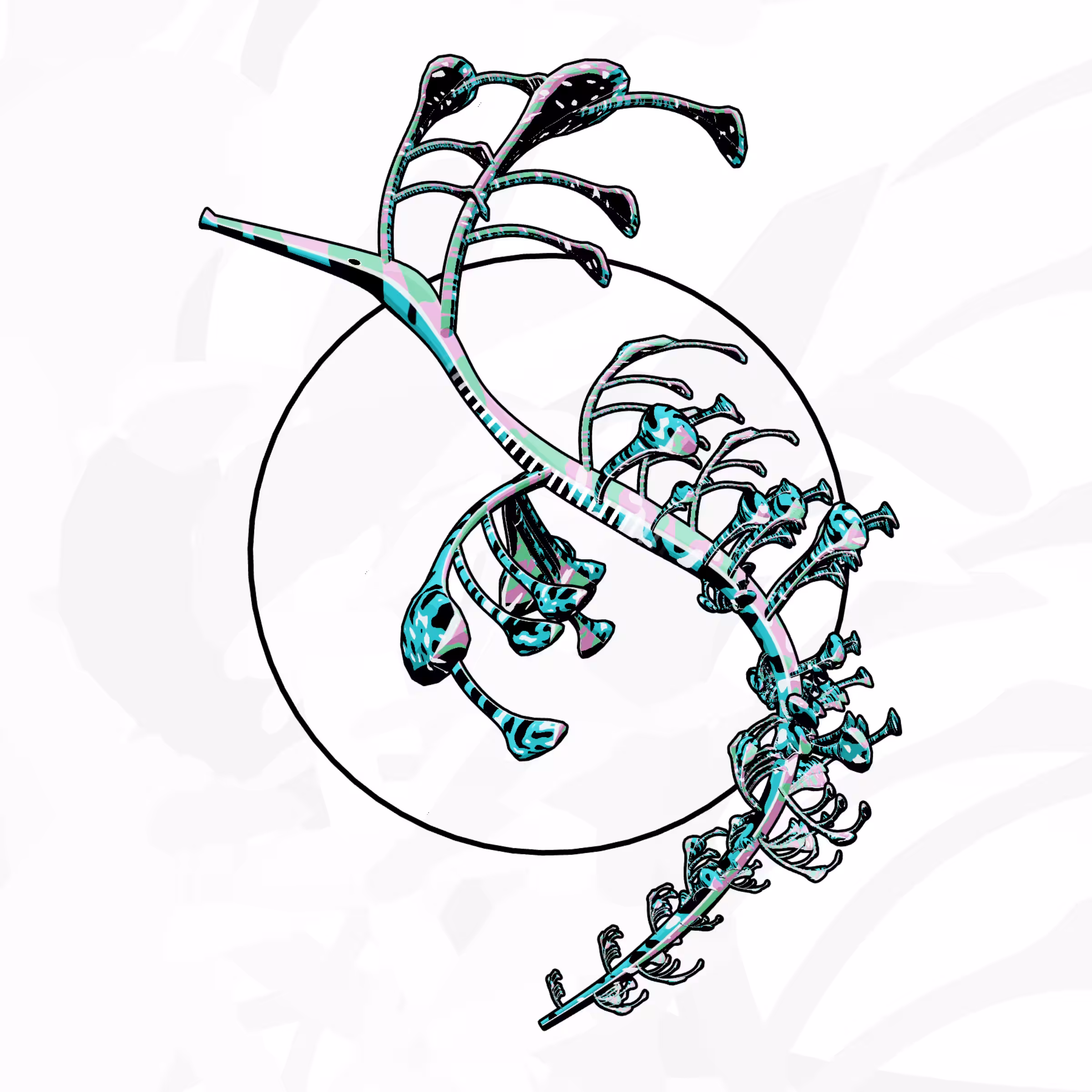 Seadragons #879