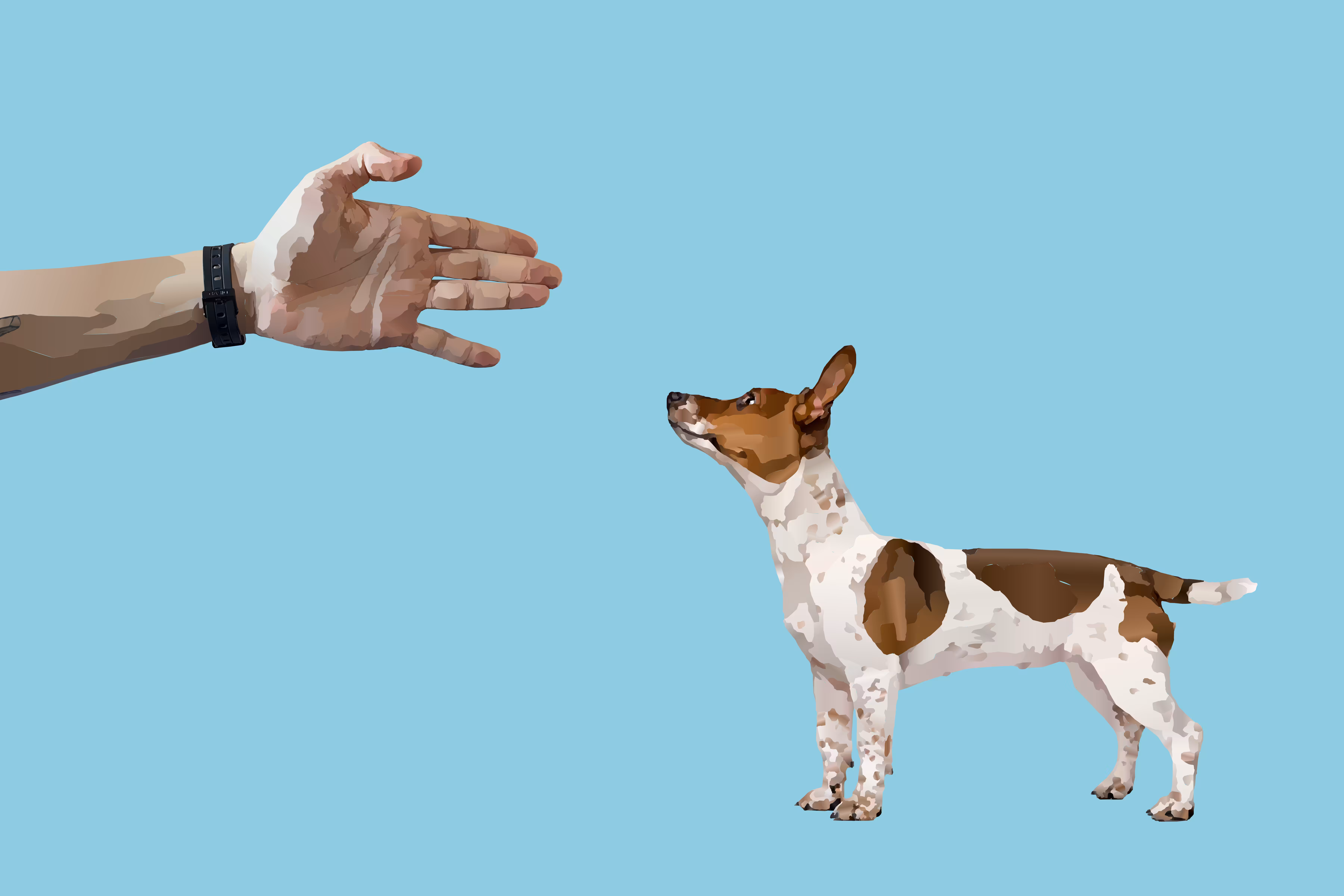 Dog and hand