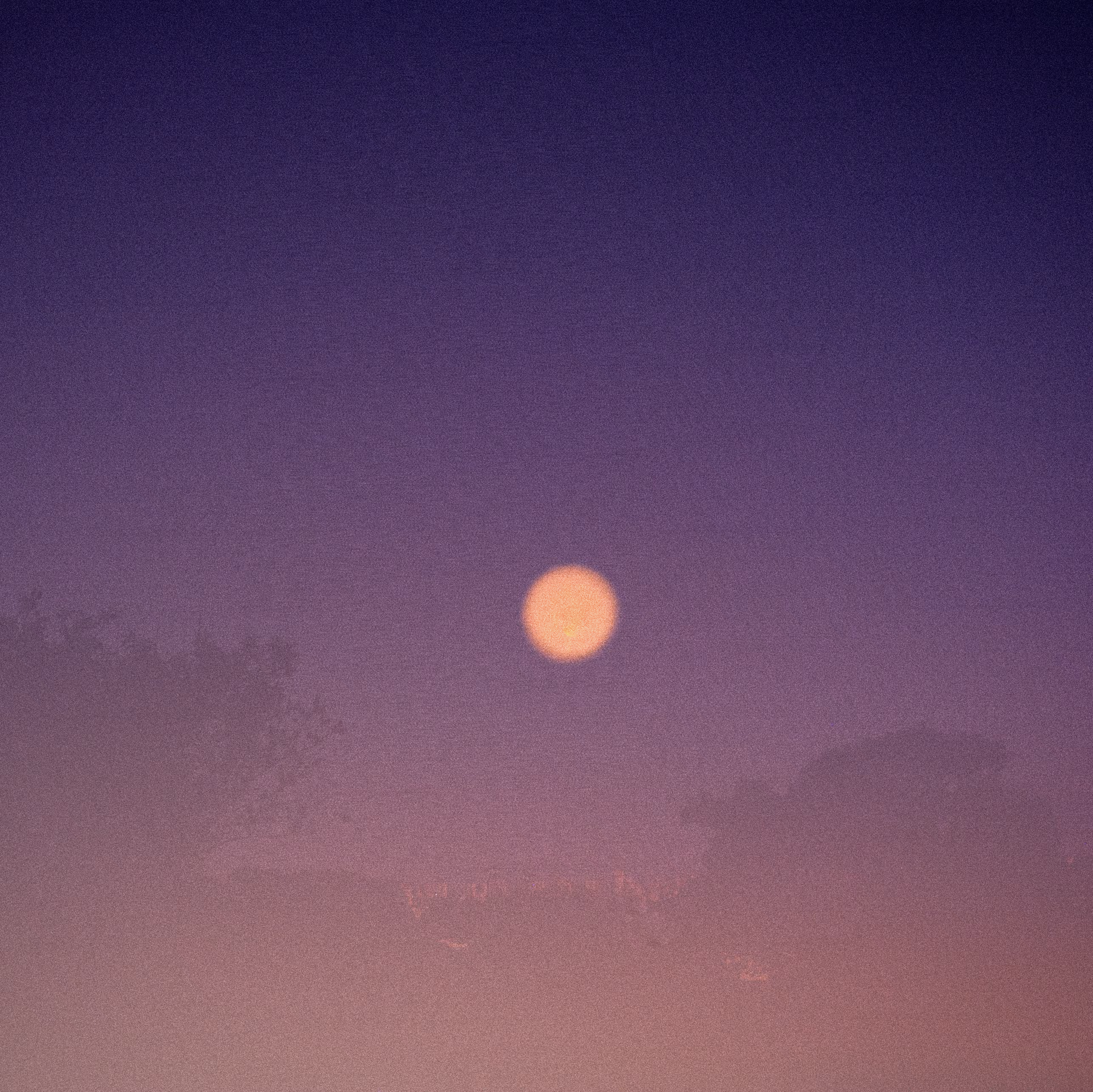Ephemeral #009
