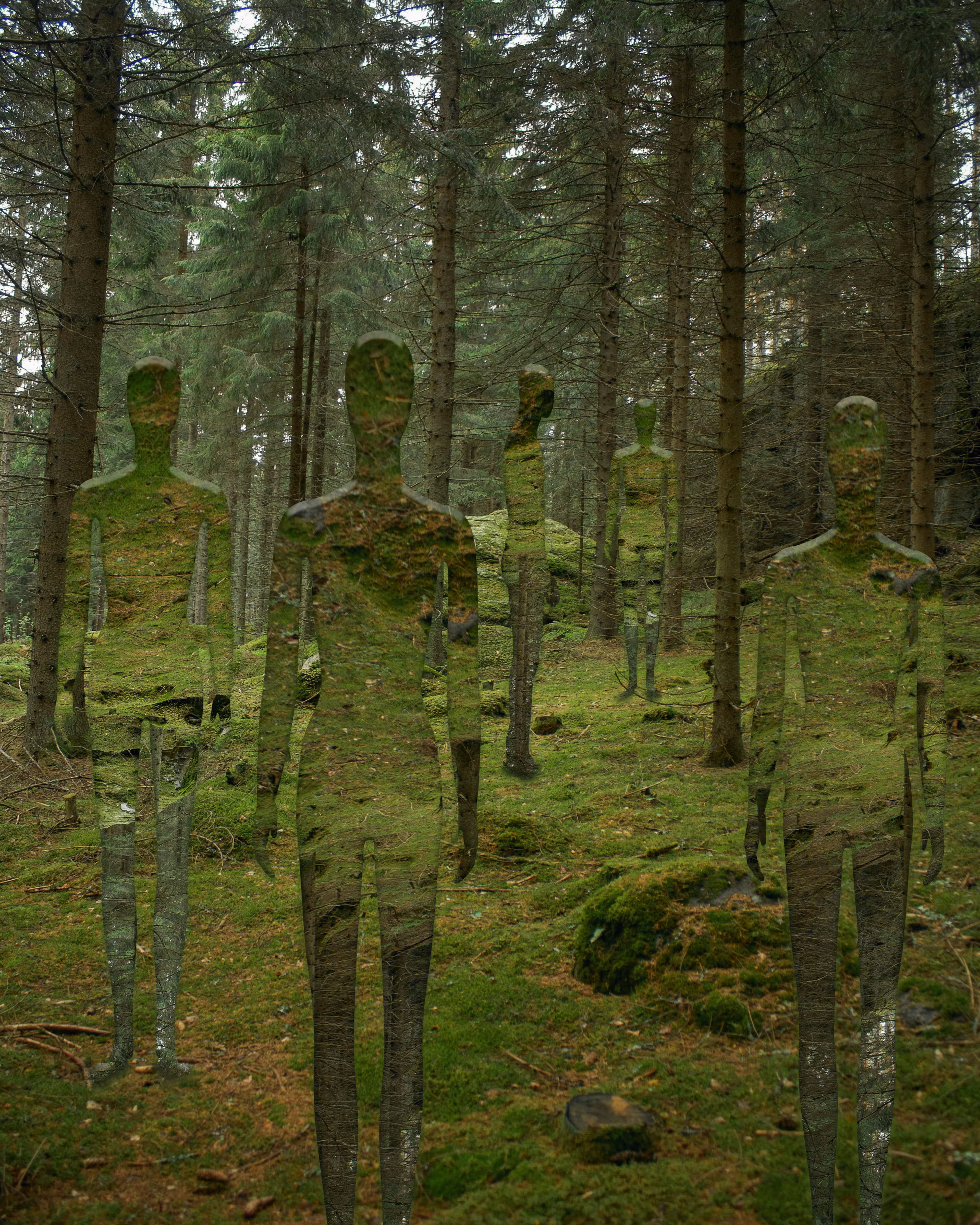 Forest Aliens 2021