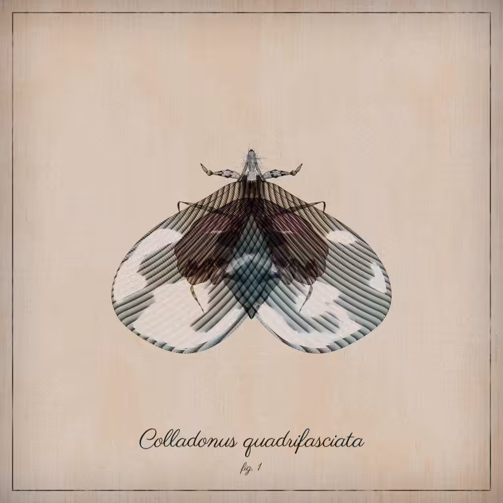 ProcGen Entomology #40