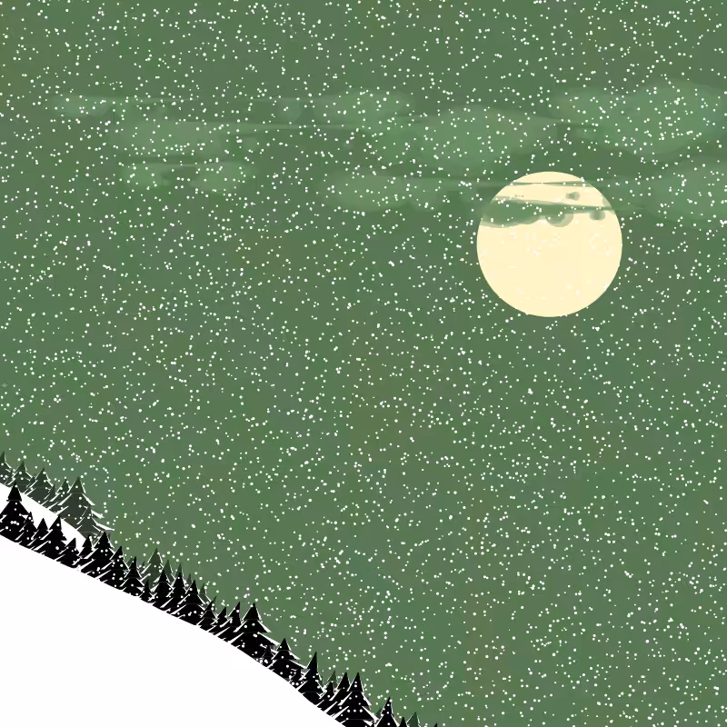 Winterland #226