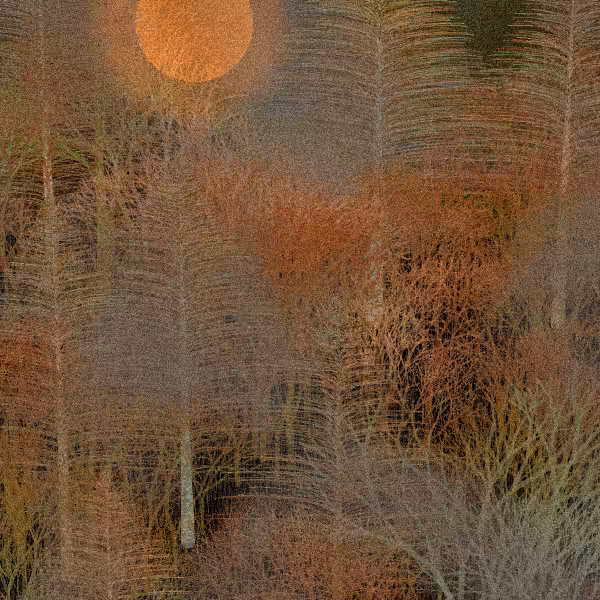 Moonlit Native Bush #8