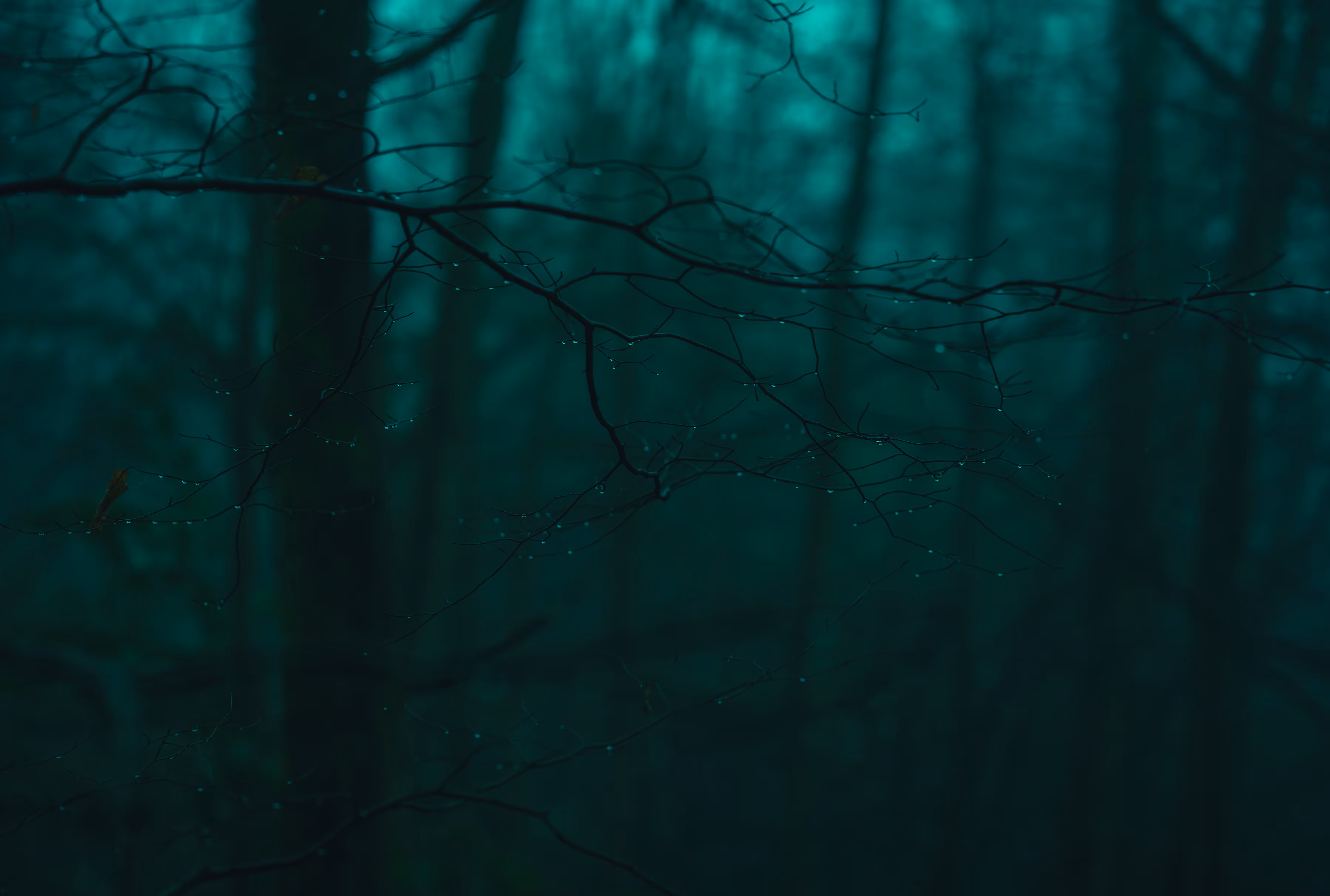 Little raindrops