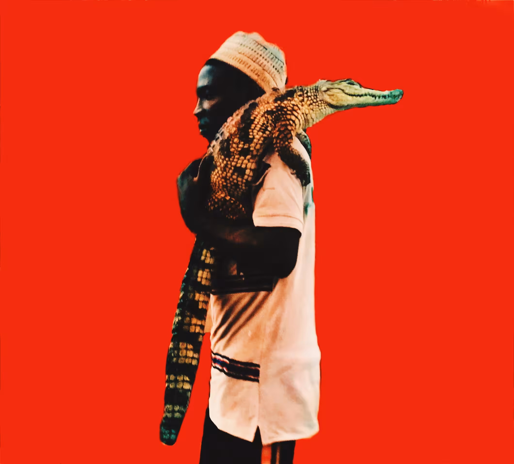 Storytelling Collection: "Crocodile Embrace"