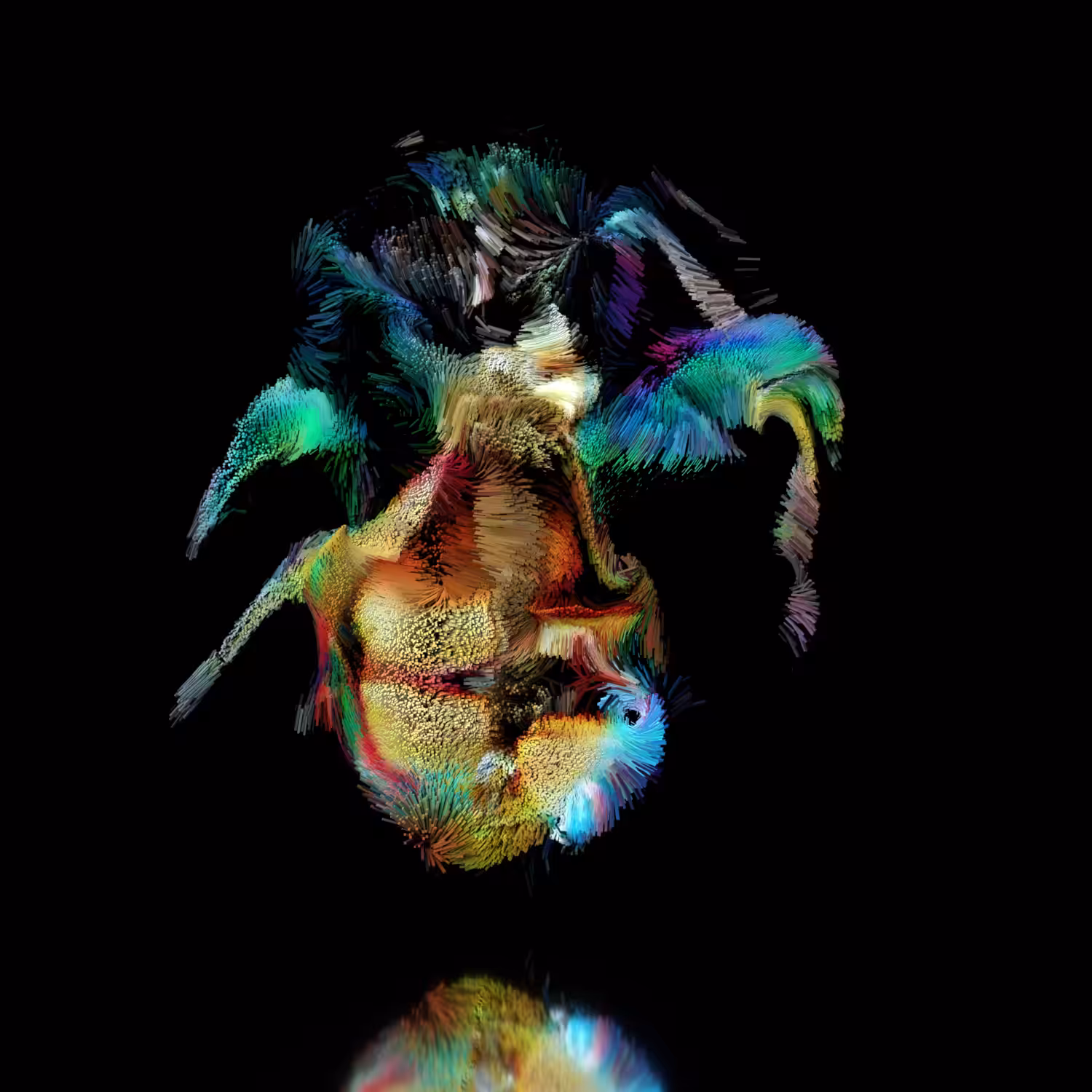 Pulchra III