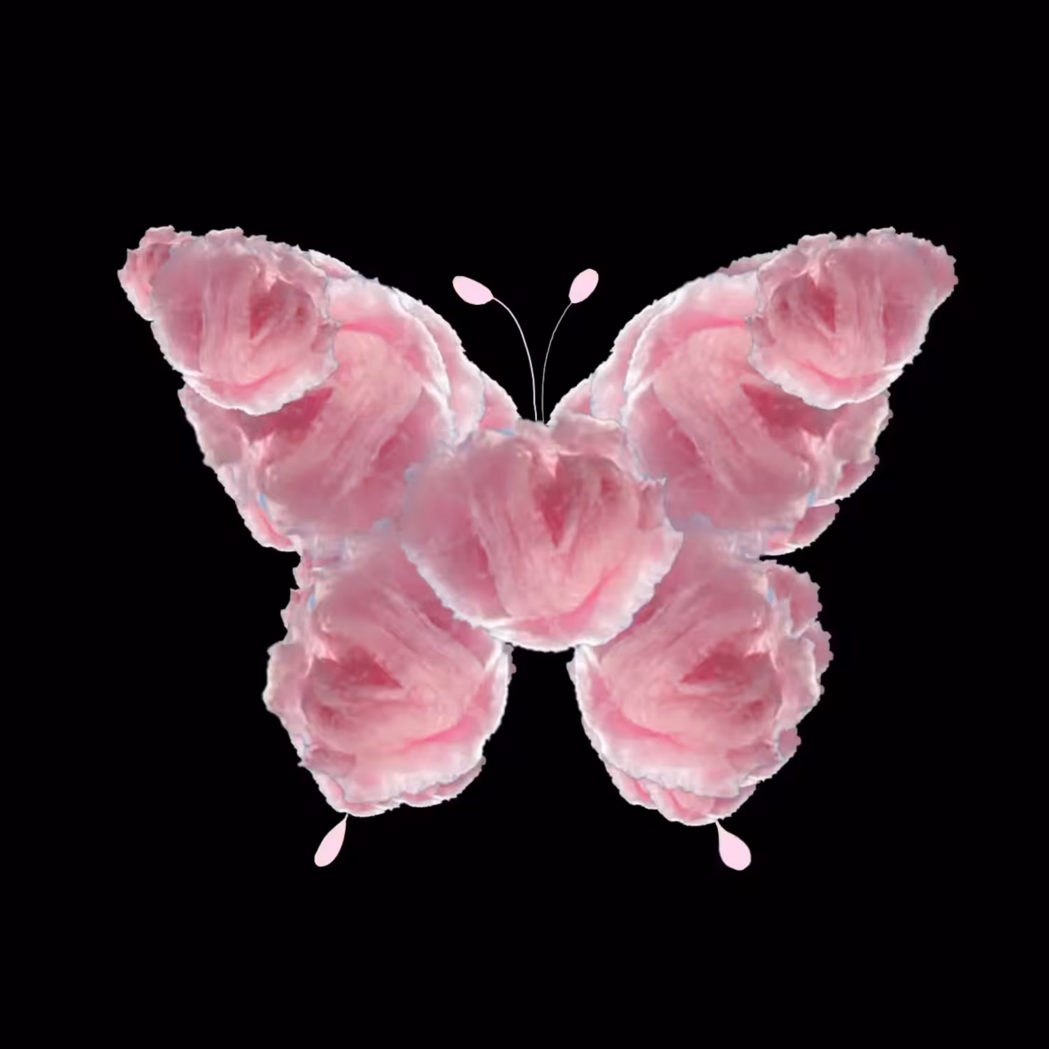 005 COTTON CANDY