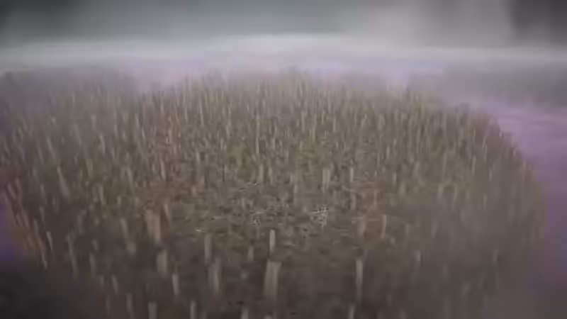 DX01: SINGULARITY 12034