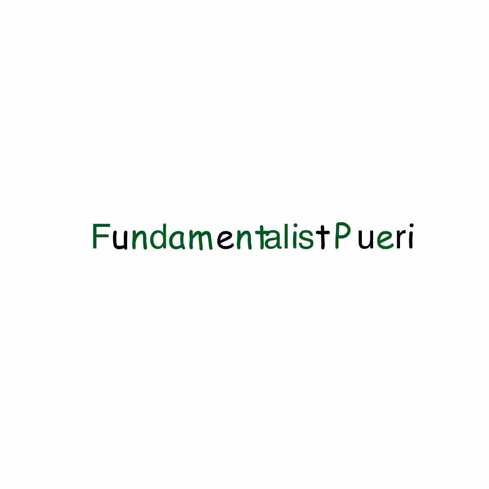 FP x FP #11